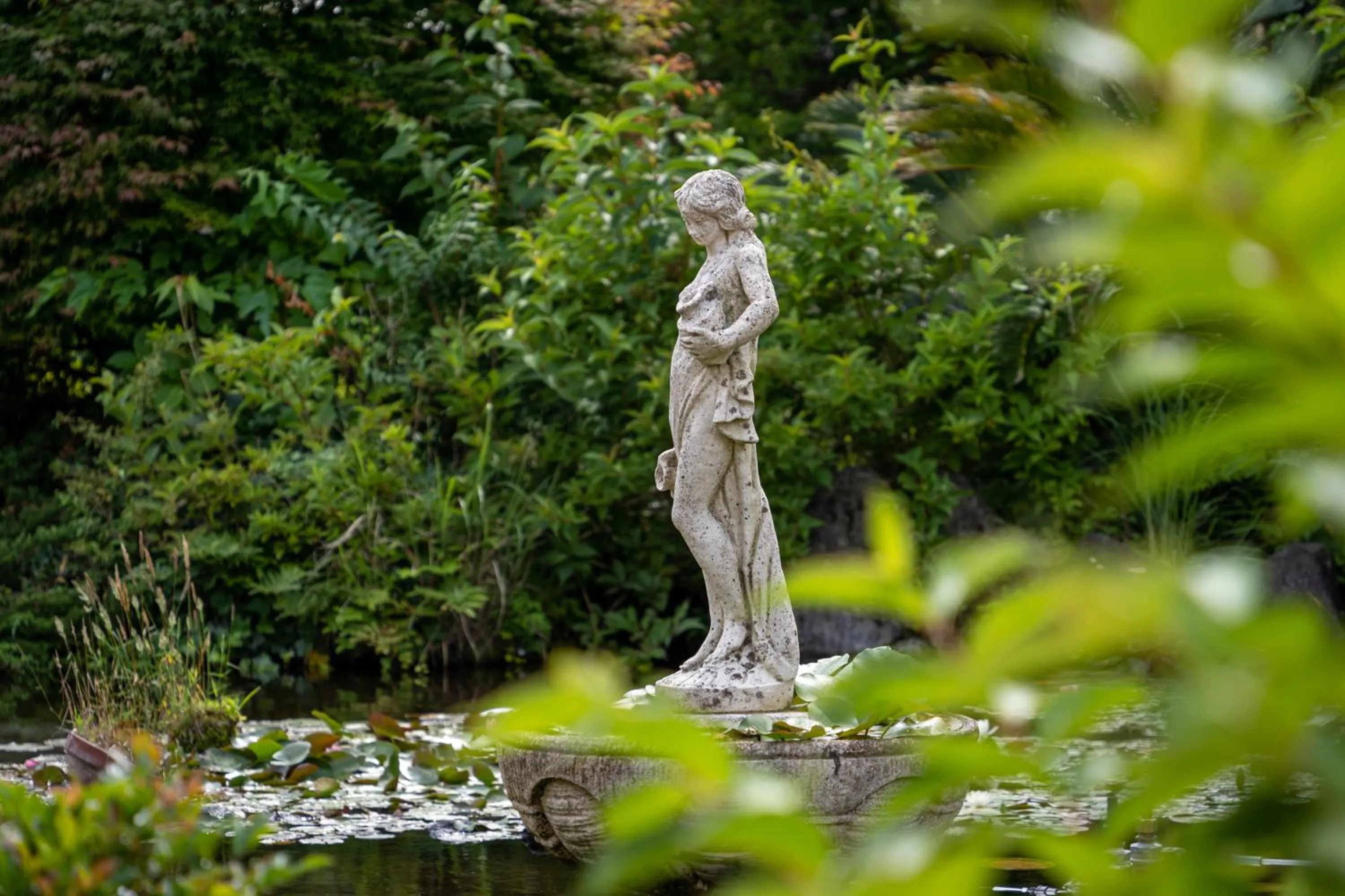 Area and facilities in 伊豆高原温泉ホテル 森の泉