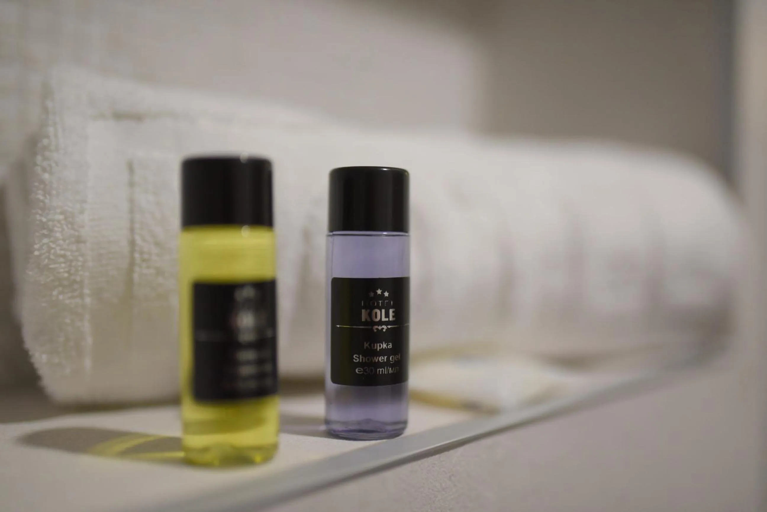 Area and facilities in Hotel Kole