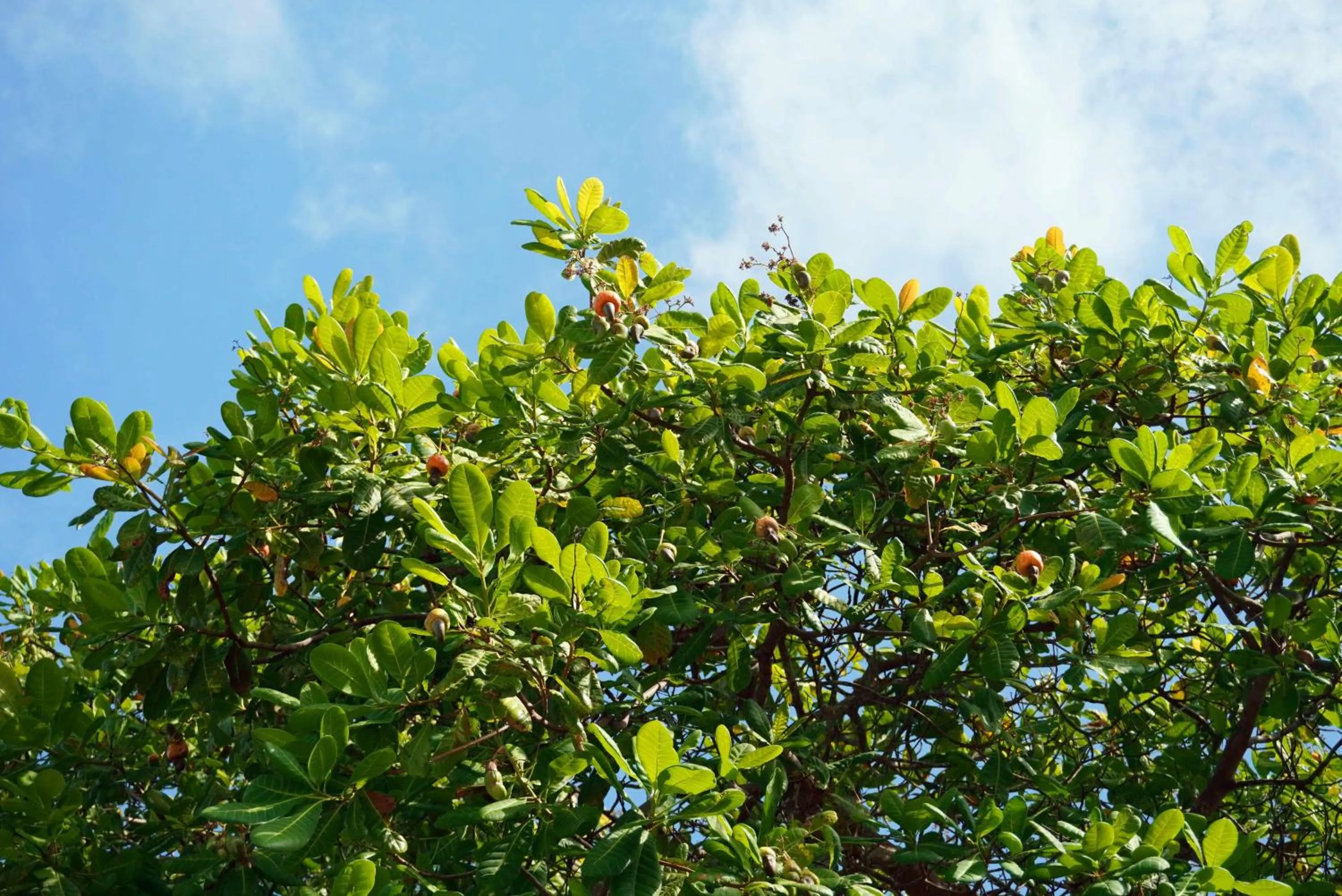 Natural landscape in Pousada Sol e Luna