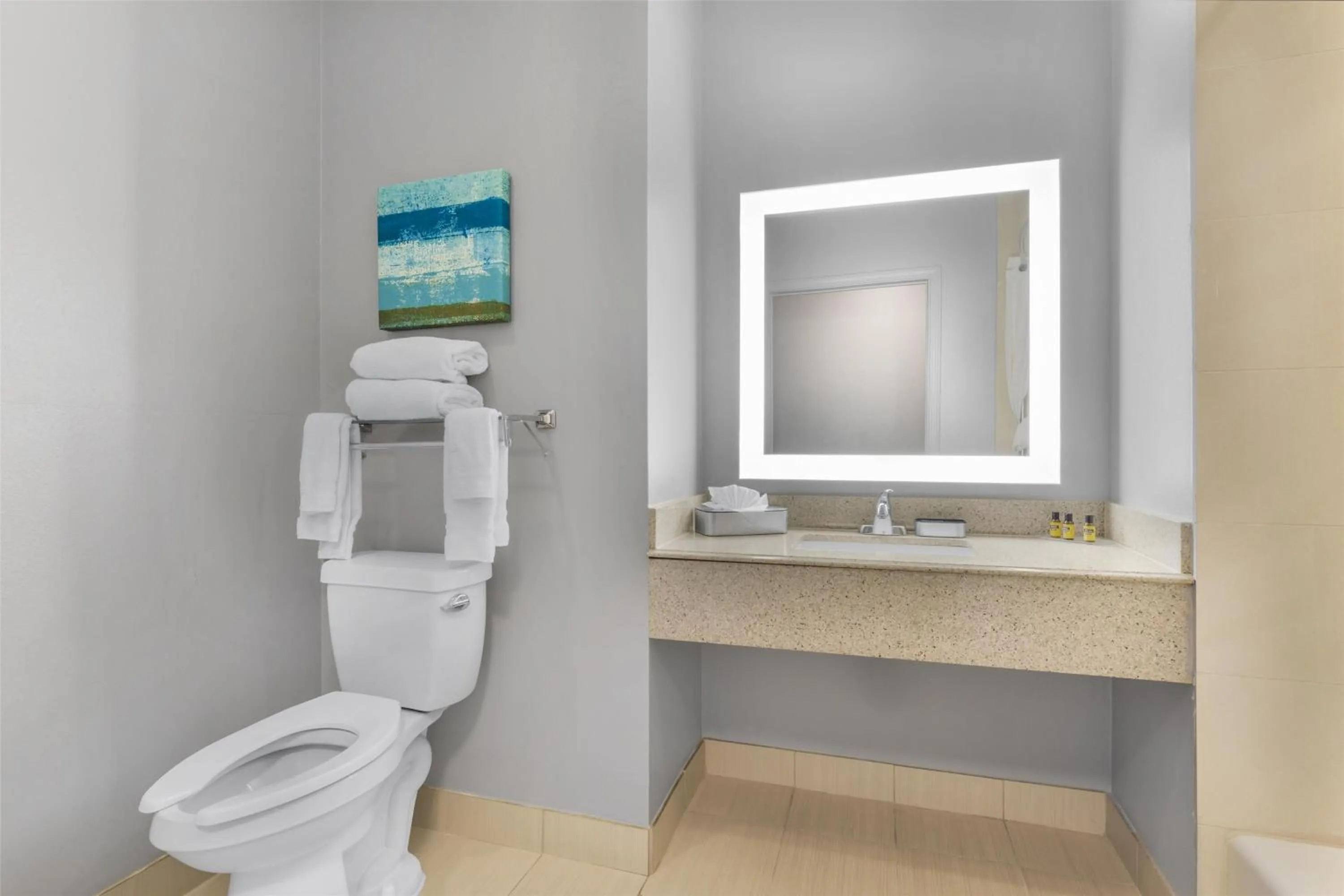 Bathroom in Best Western Plus Fort Worth Forest Hill Inn & Suites