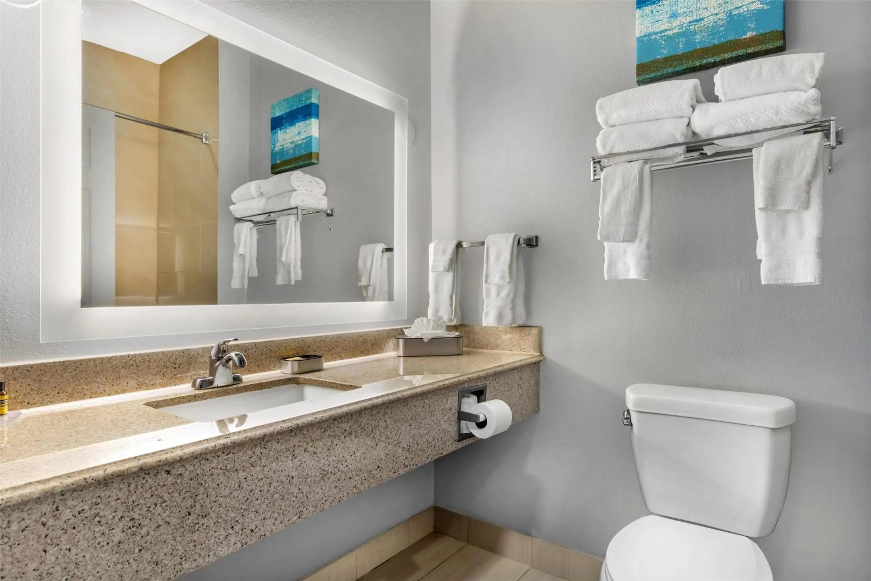 Bathroom in Best Western Plus Fort Worth Forest Hill Inn & Suites