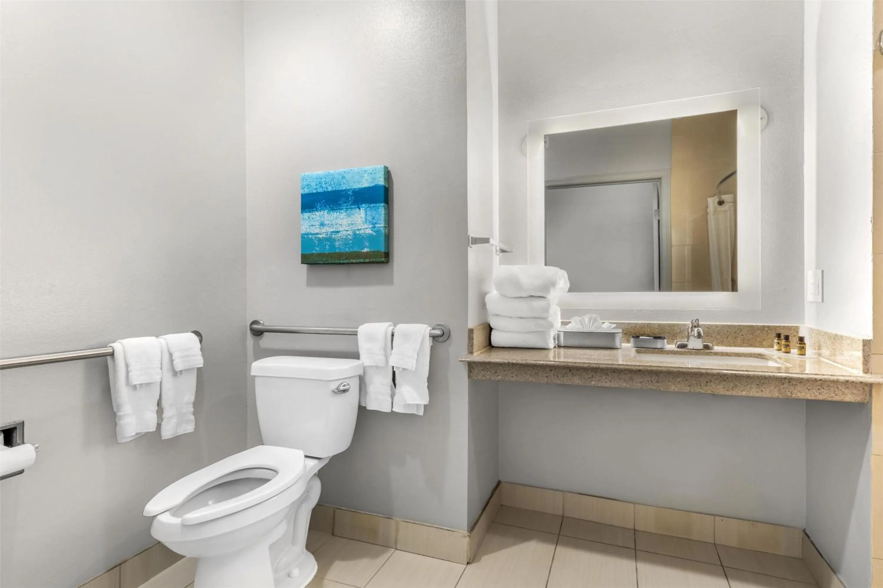 Bathroom in Best Western Plus Fort Worth Forest Hill Inn & Suites