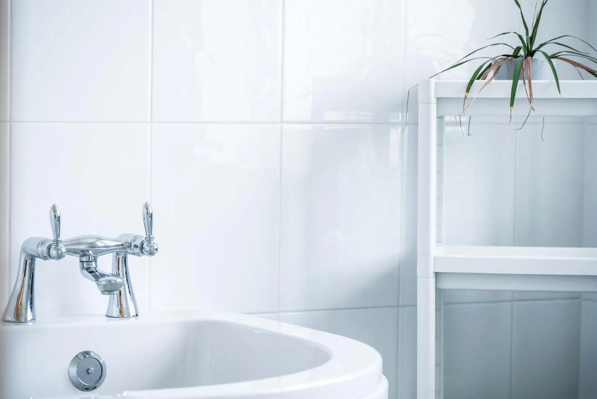 Floor plan in Angle Adventures - 4 Bedroom Cottage - Angle