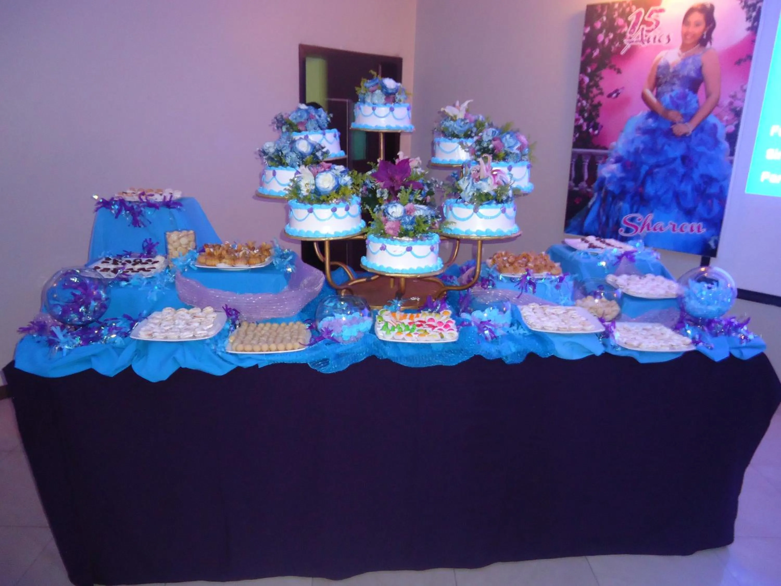 Banquet/Function facilities in Hotel Mar Azul