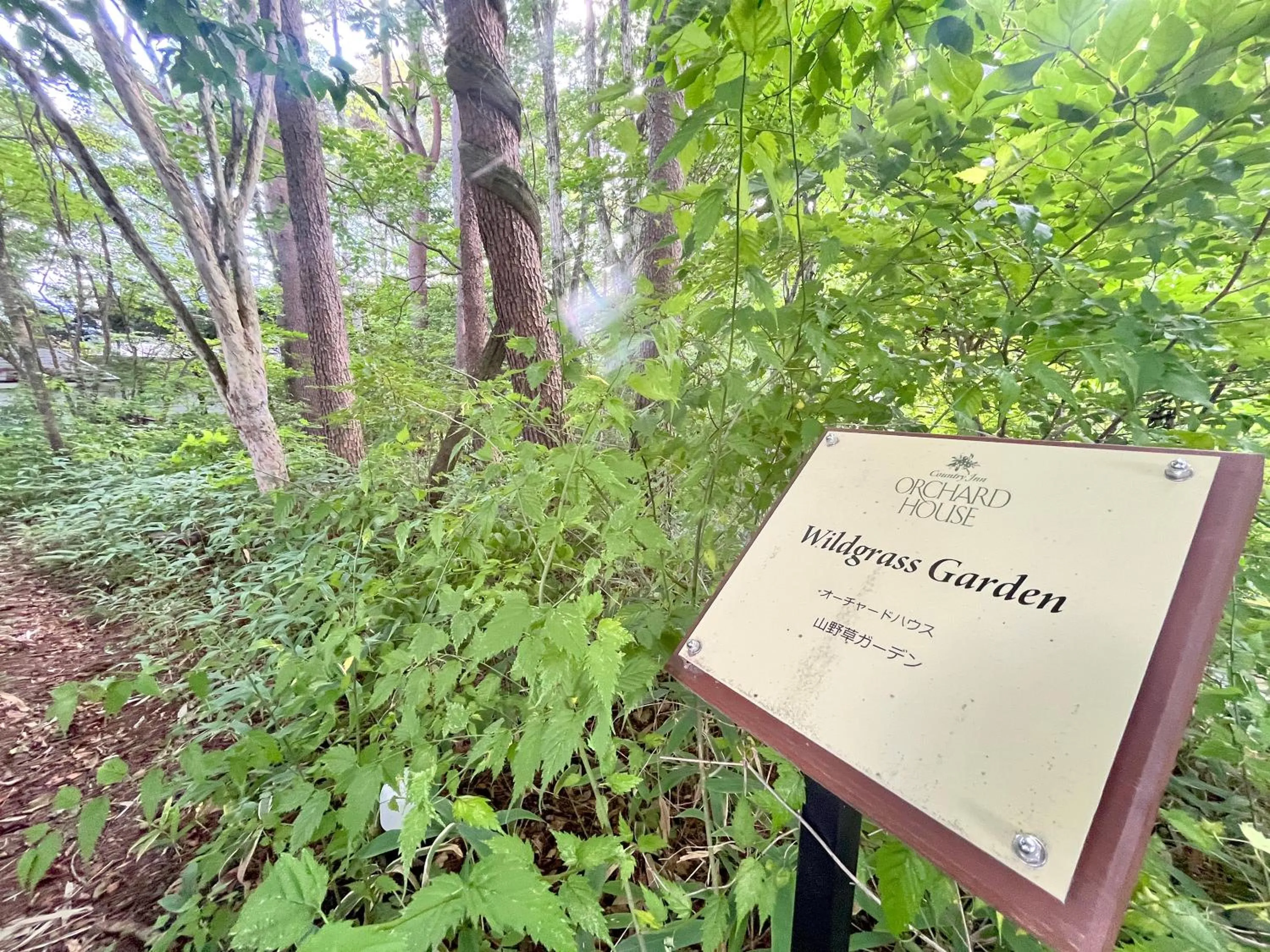 Garden view in Country Inn Orchard House