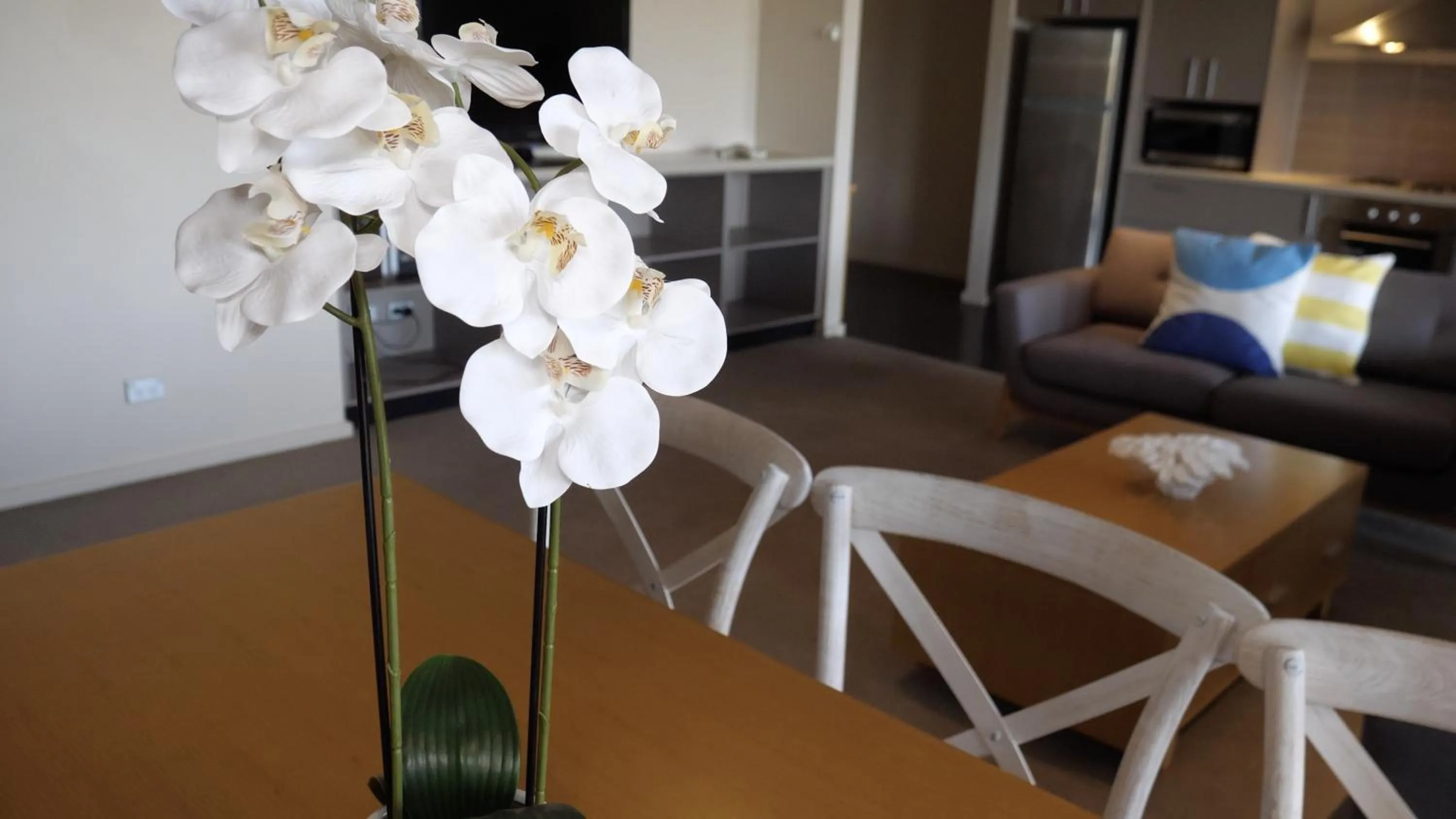 Living room in Barwon Heads Resort