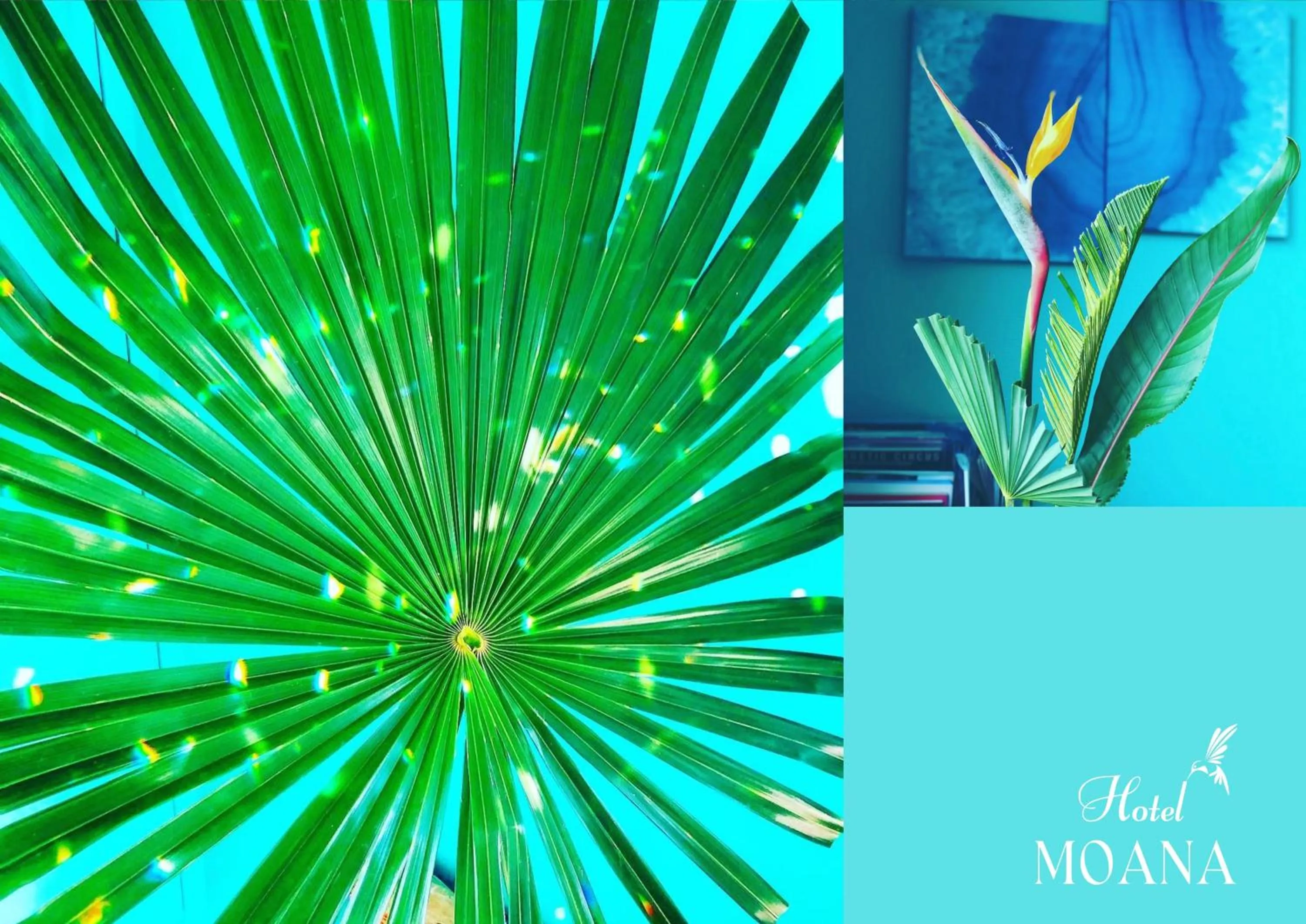 Breakfast in Hotel MOANA絶景オーシャンビューカフェラウンジ朝食付き