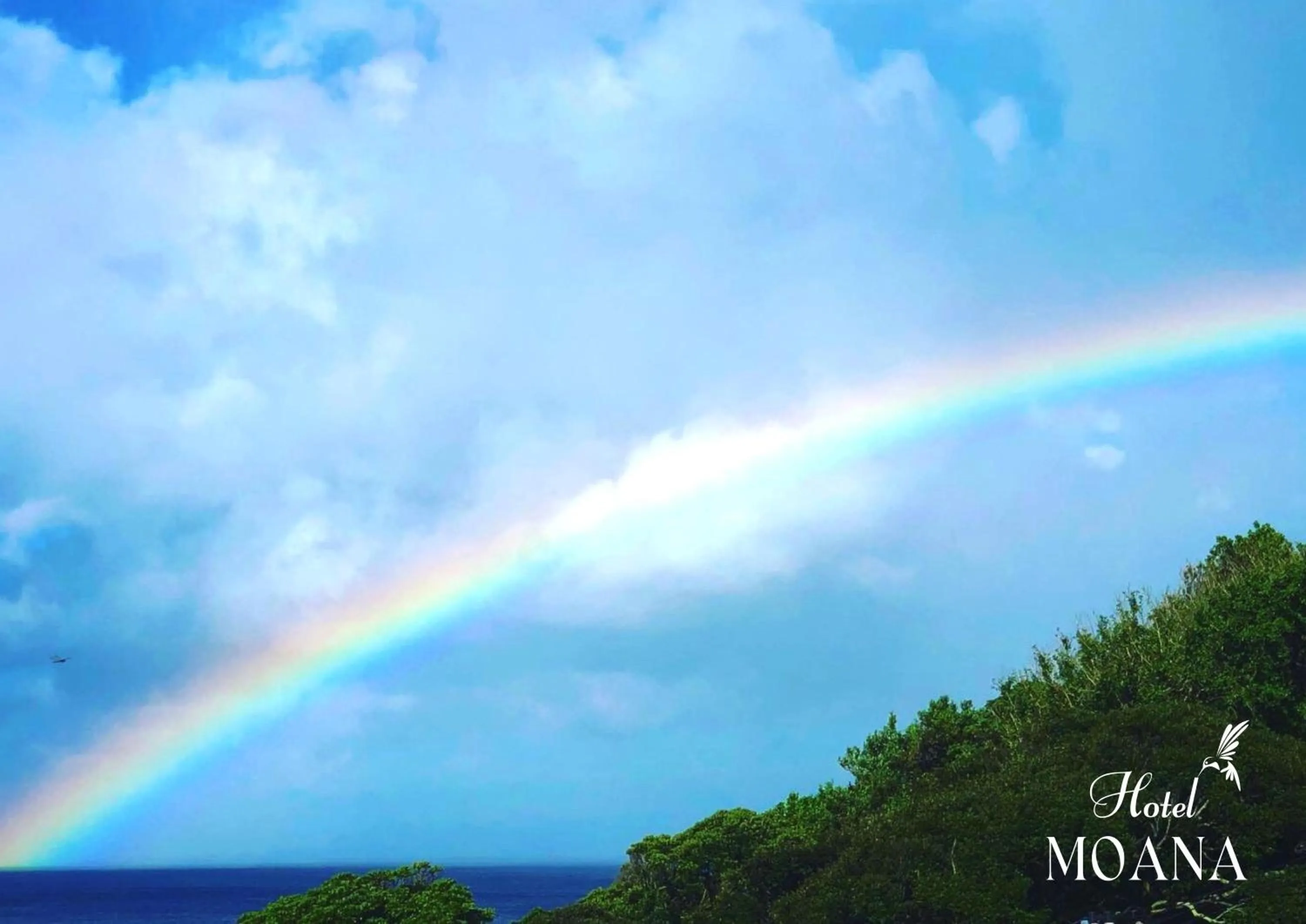 Natural landscape in Hotel MOANA絶景オーシャンビューカフェラウンジ朝食付き