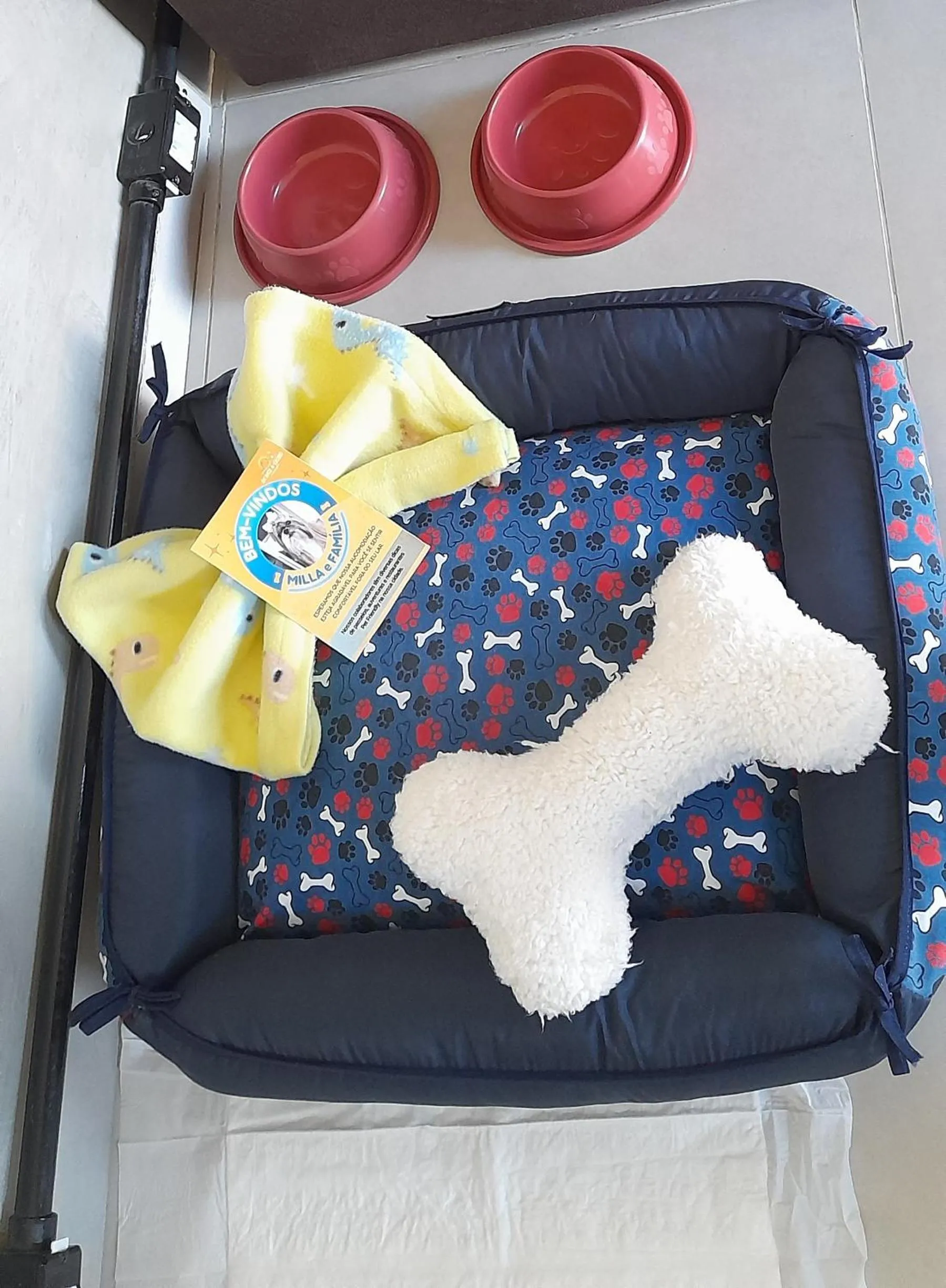 Pets in Pousada Encantos de Socorro