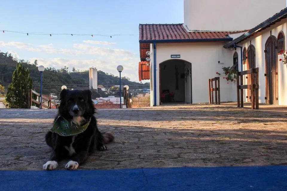 Pets in Pousada Encantos de Socorro