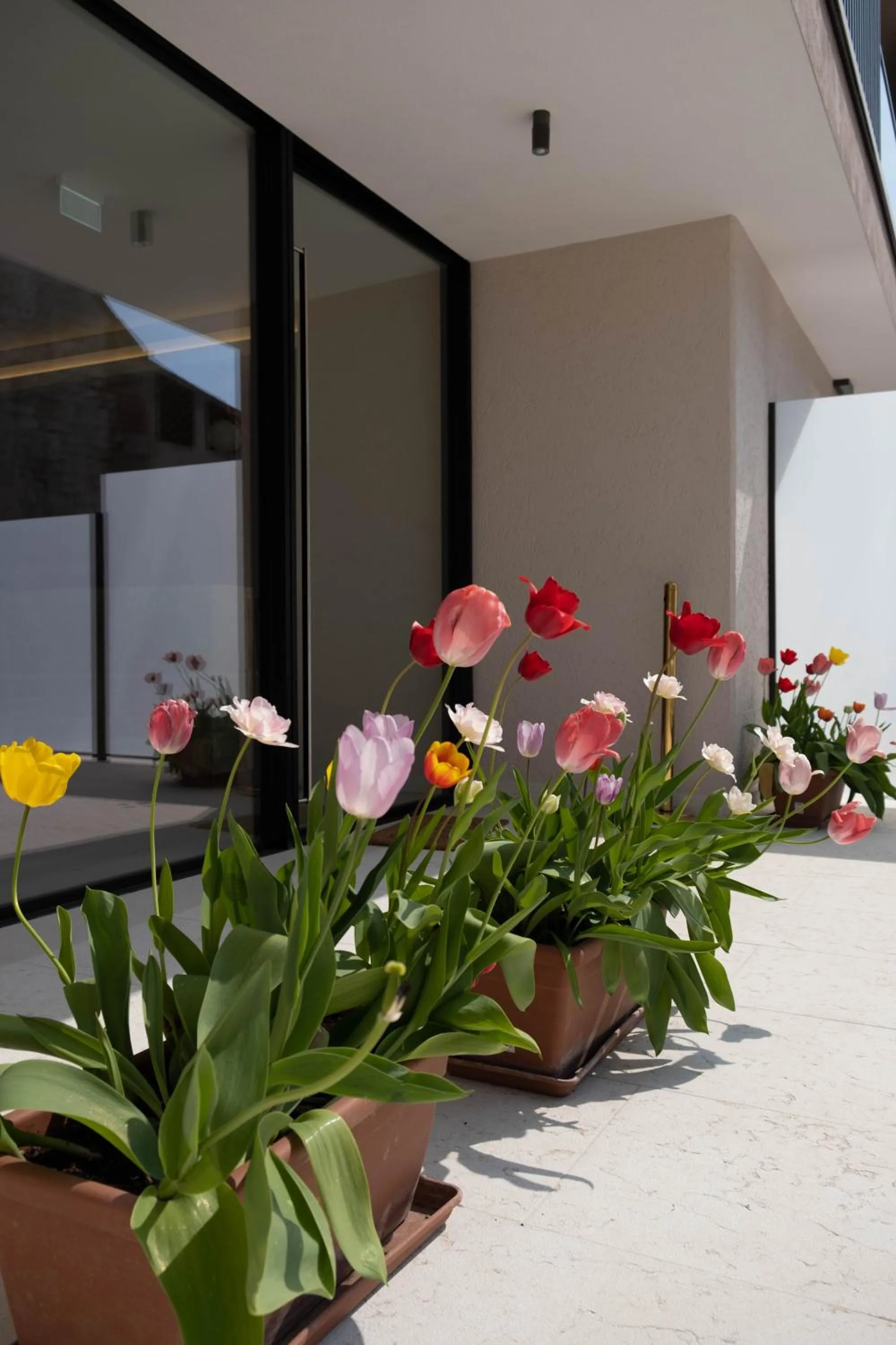Facade/entrance in Relais Forte Benedek Wine & SPA - Adults Only