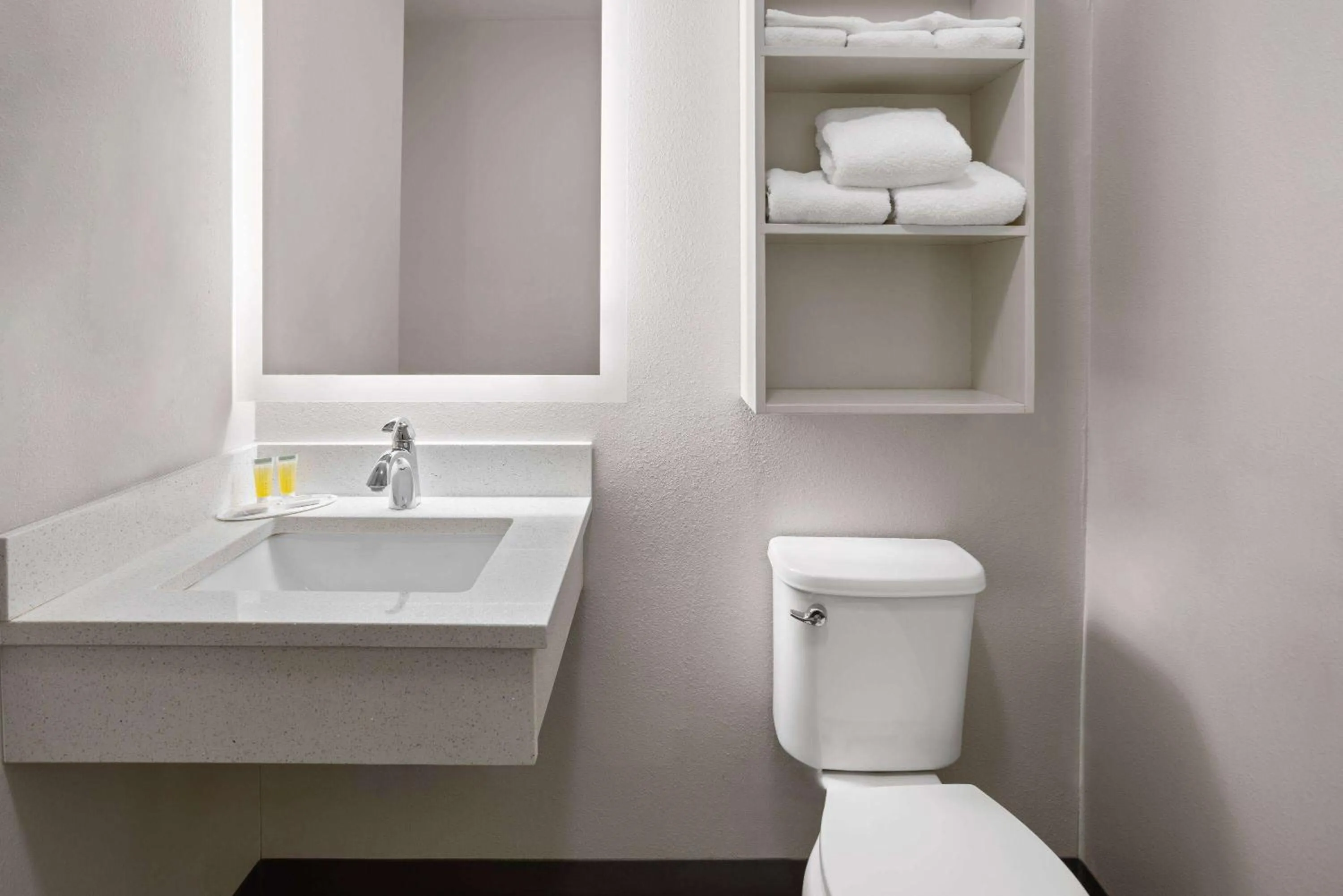 Bathroom in Microtel Inn by Wyndham Raleigh-Durham Airport