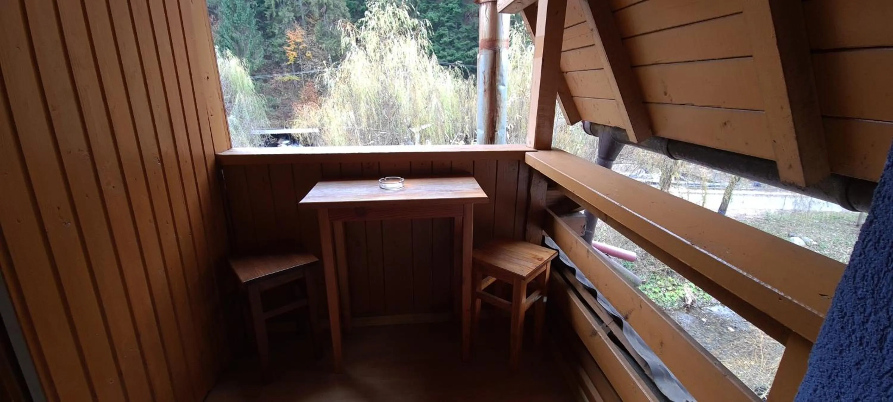 Garden view in Pensiunea Aurora - Great Hostel Voineasa