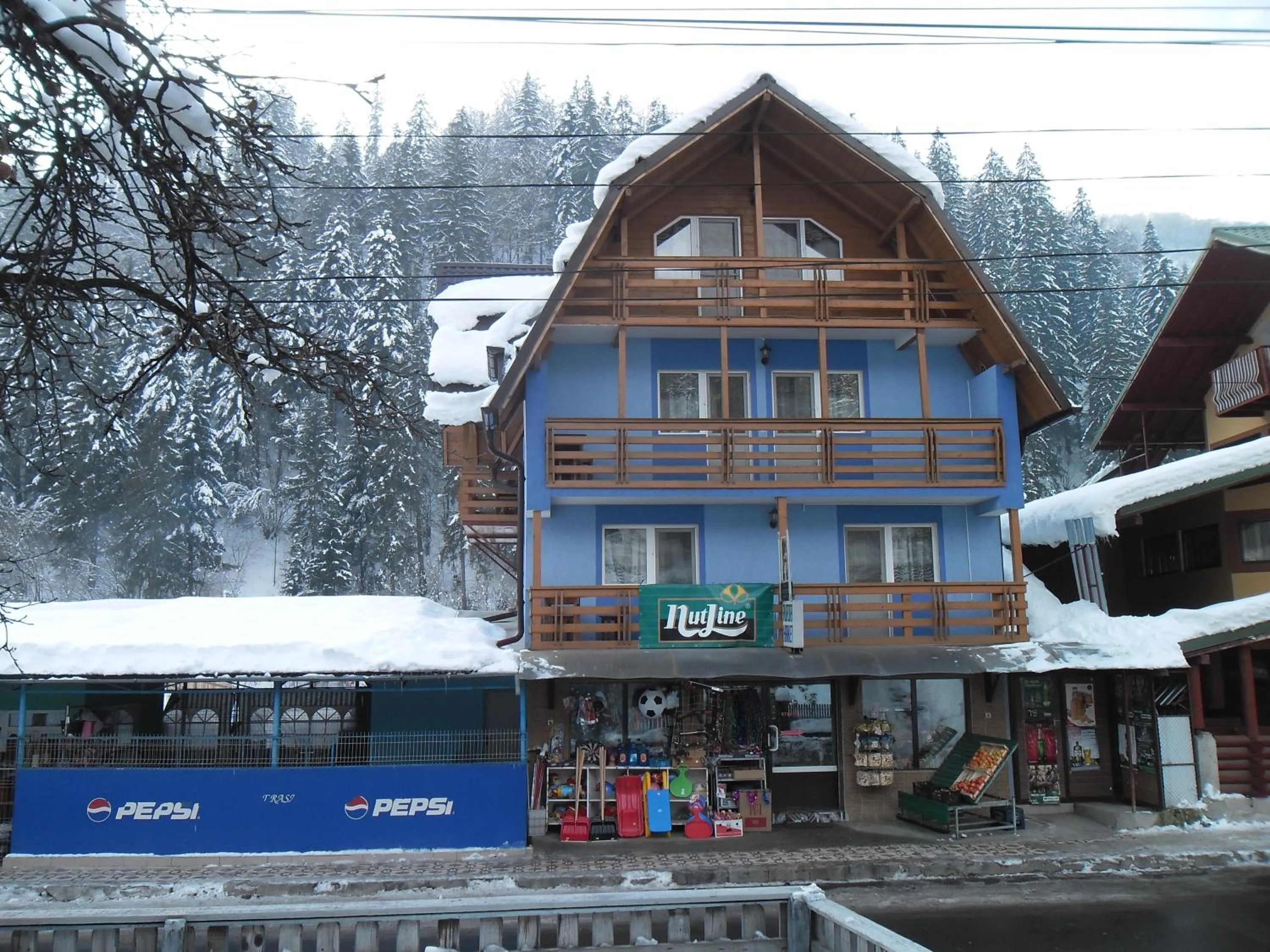 Property building in Pensiunea Aurora - Great Hostel Voineasa