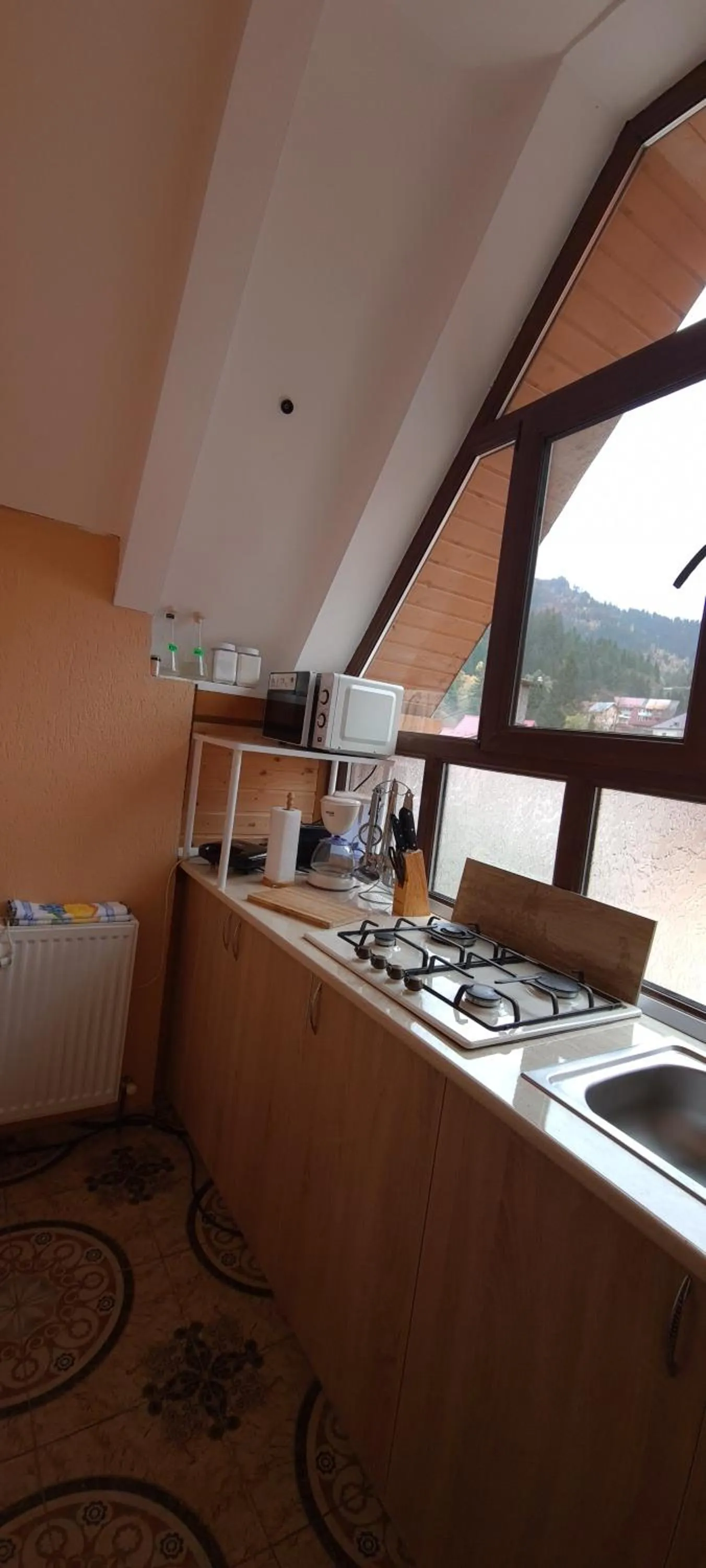 Kitchen or kitchenette in Pensiunea Aurora - Great Hostel Voineasa