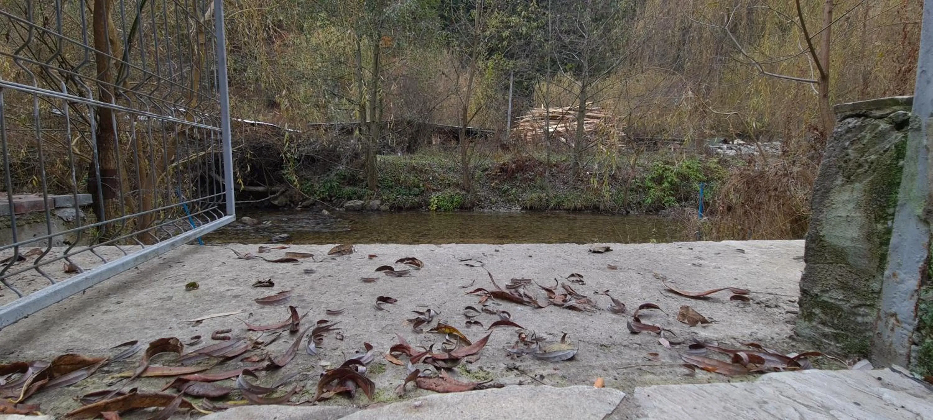 Natural landscape in Pensiunea Aurora - Great Hostel Voineasa
