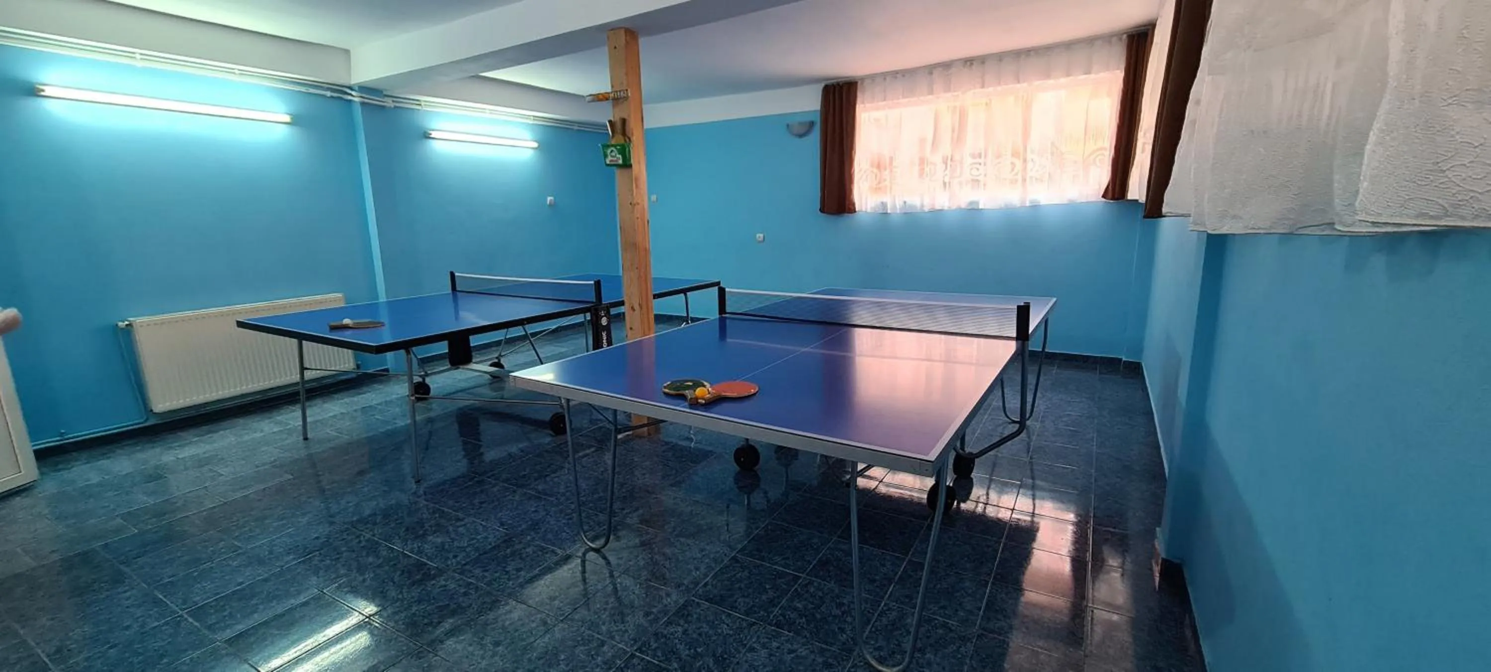Table tennis in Pensiunea Aurora - Great Hostel Voineasa
