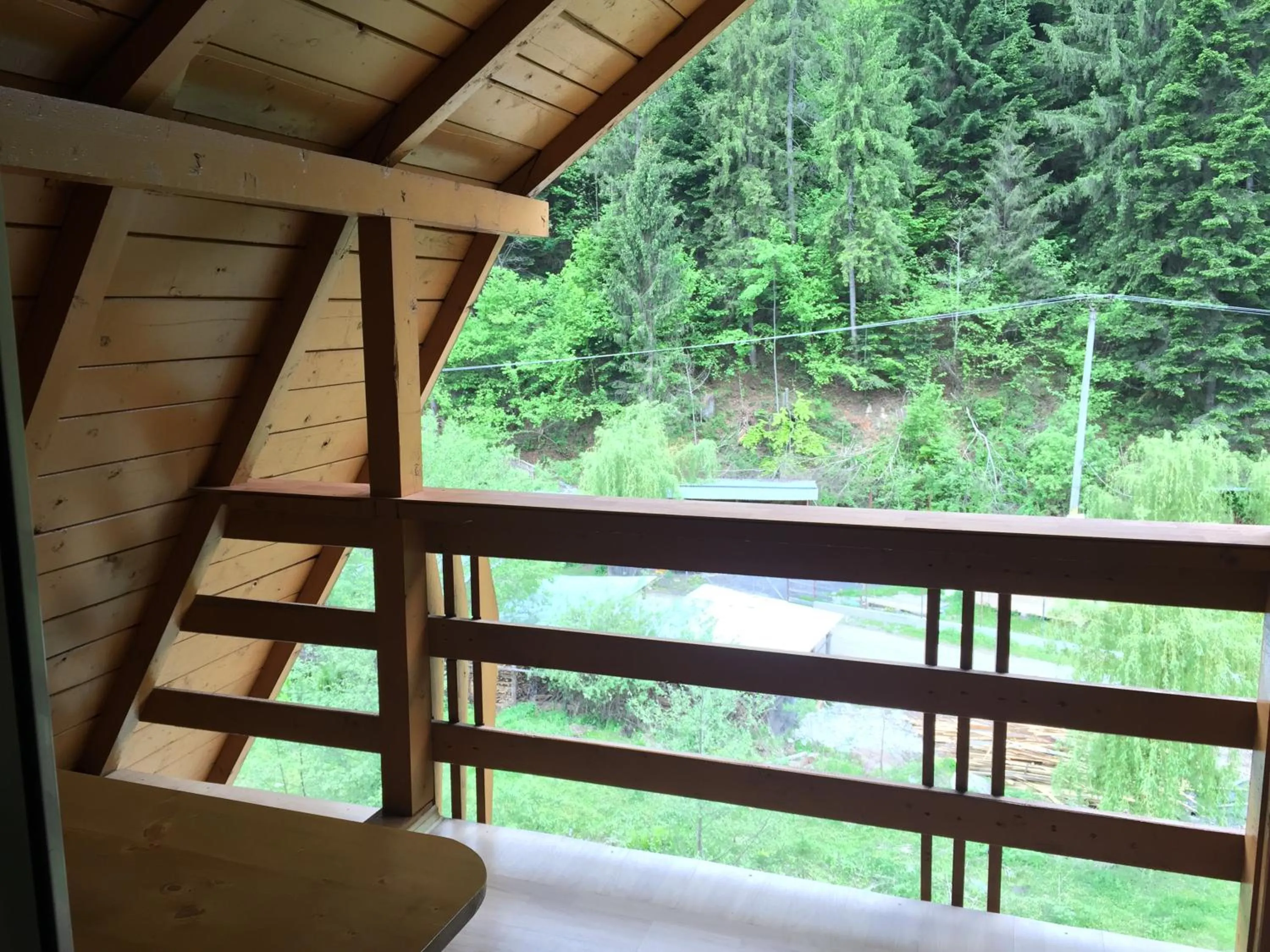 Mountain view in Pensiunea Aurora - Great Hostel Voineasa