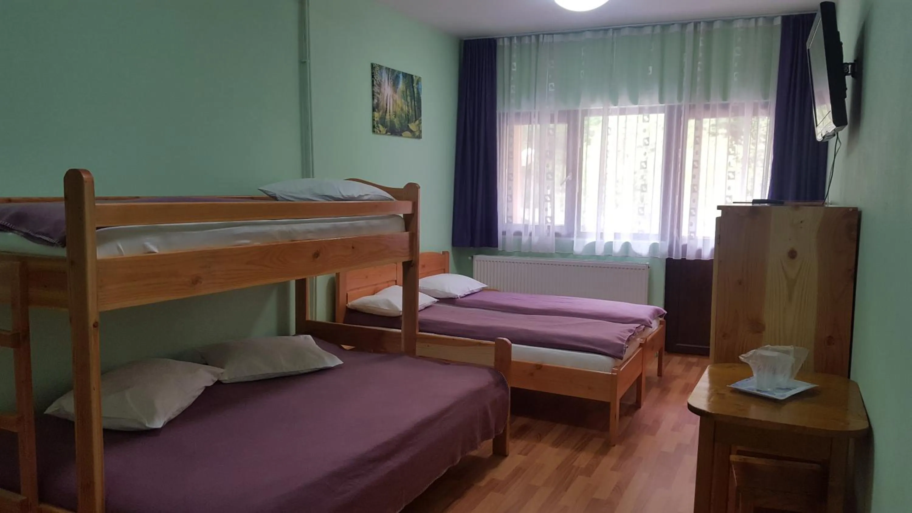 Photo of the whole room, Bed in Pensiunea Aurora - Great Hostel Voineasa