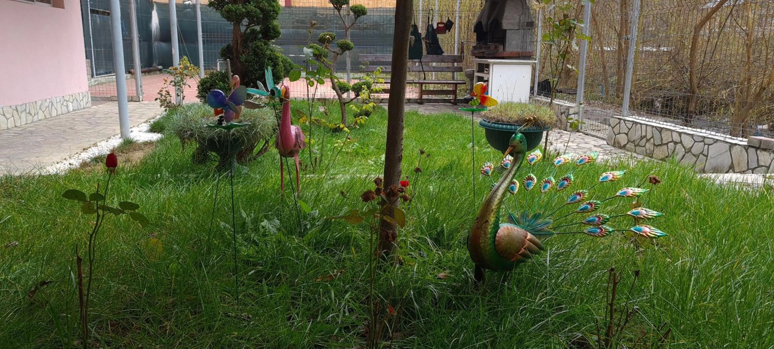 Garden in Pensiunea Aurora - Great Hostel Voineasa