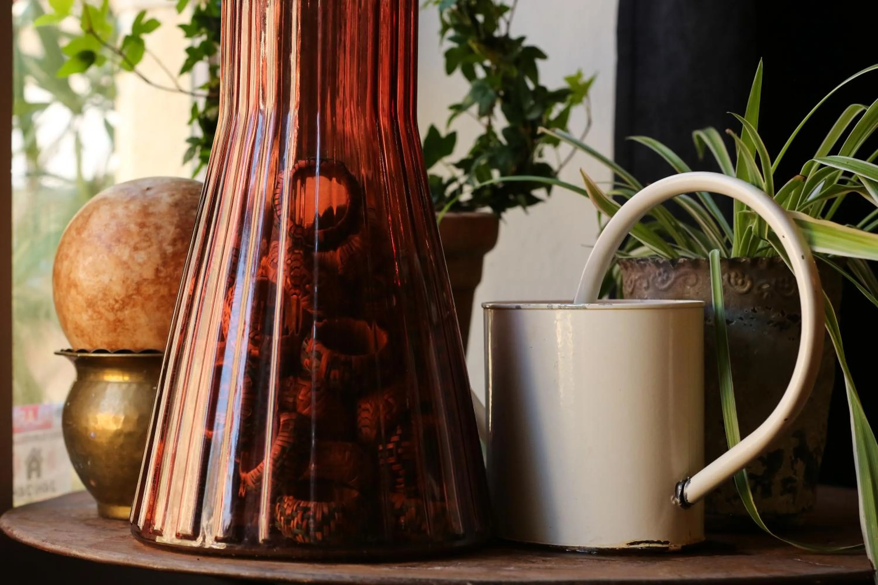 Restaurant/places to eat in La Treille Muscate