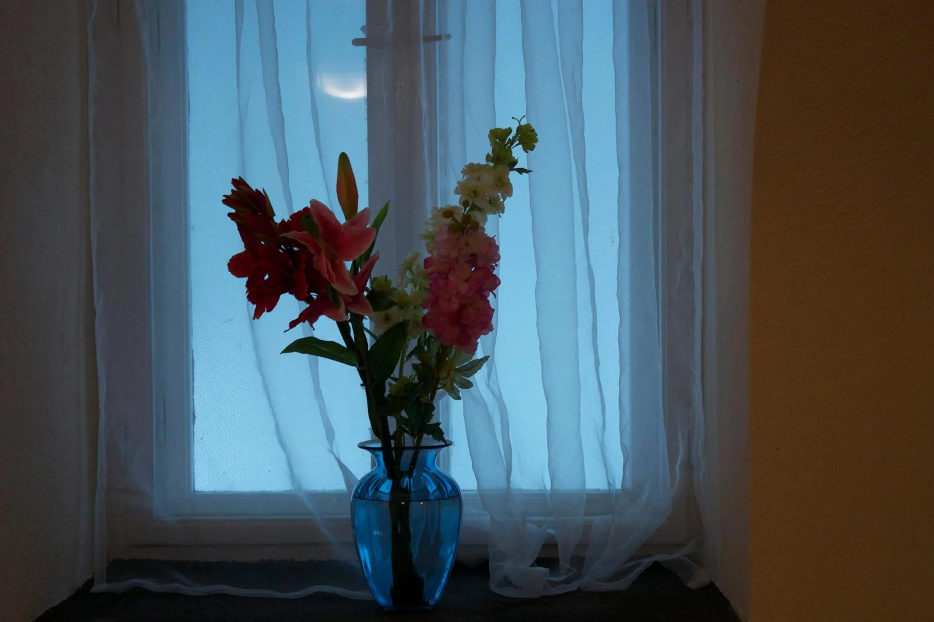 Other in Garden House