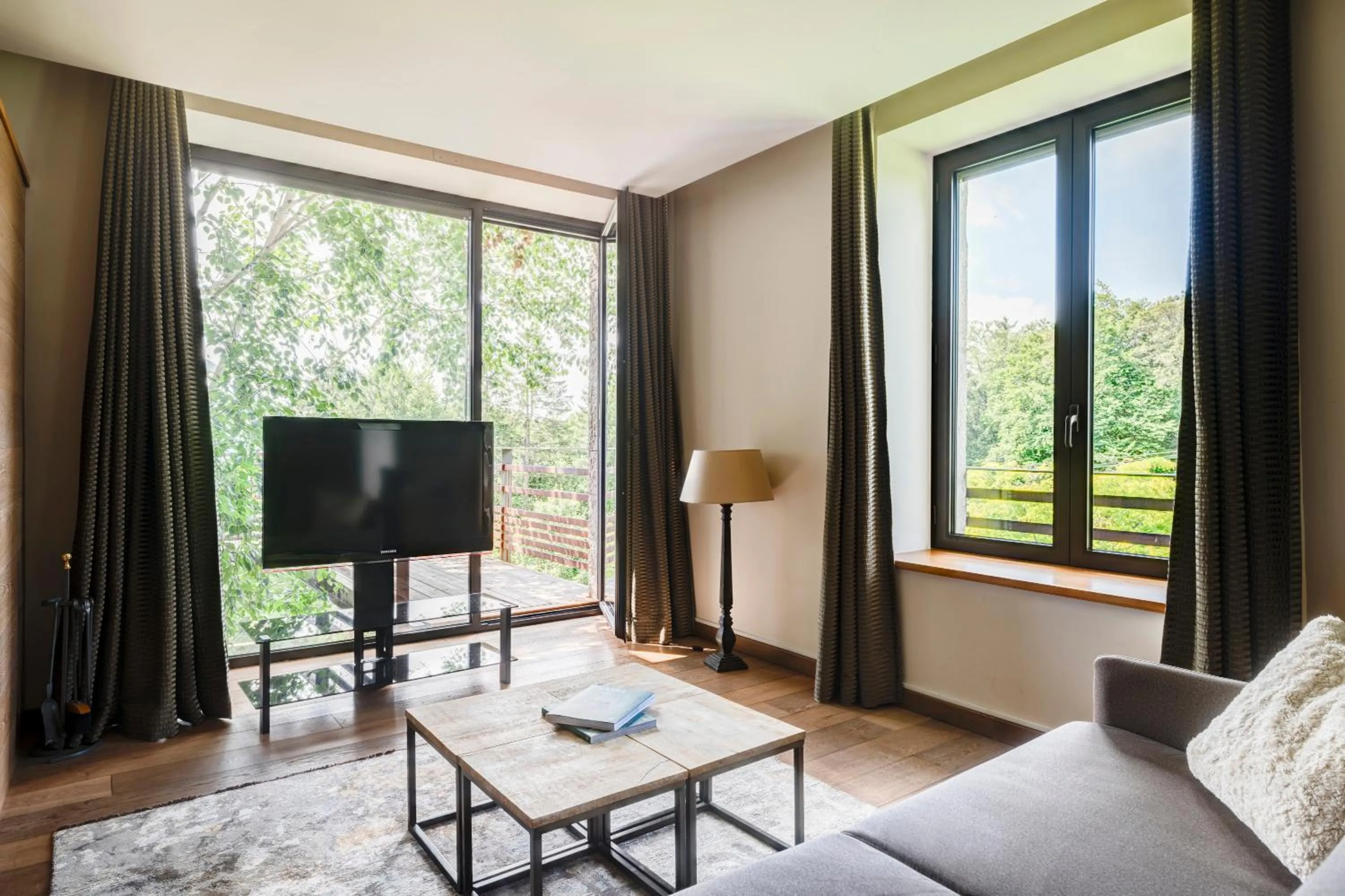 TV and multimedia in Château des Avenieres - Relais & Châteaux