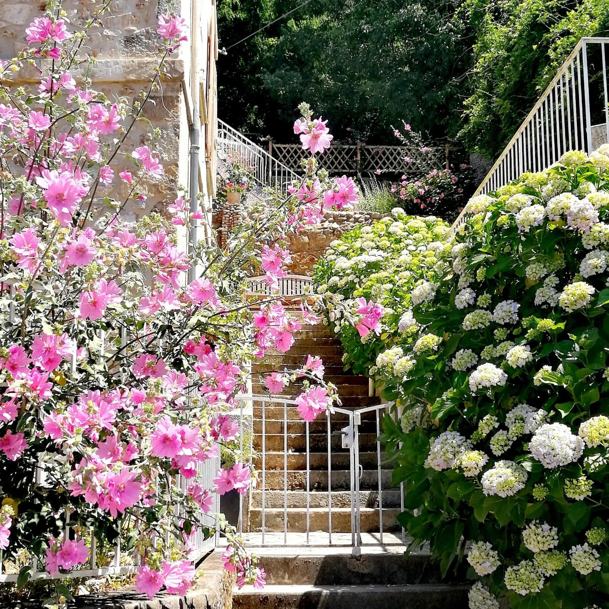 Property building in La Dolce Vita Justine