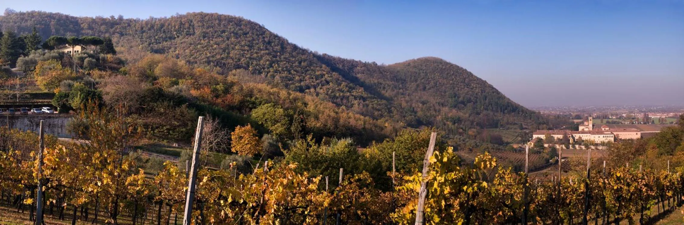 Nearby landmark in Fattoria Busa dell'Oro