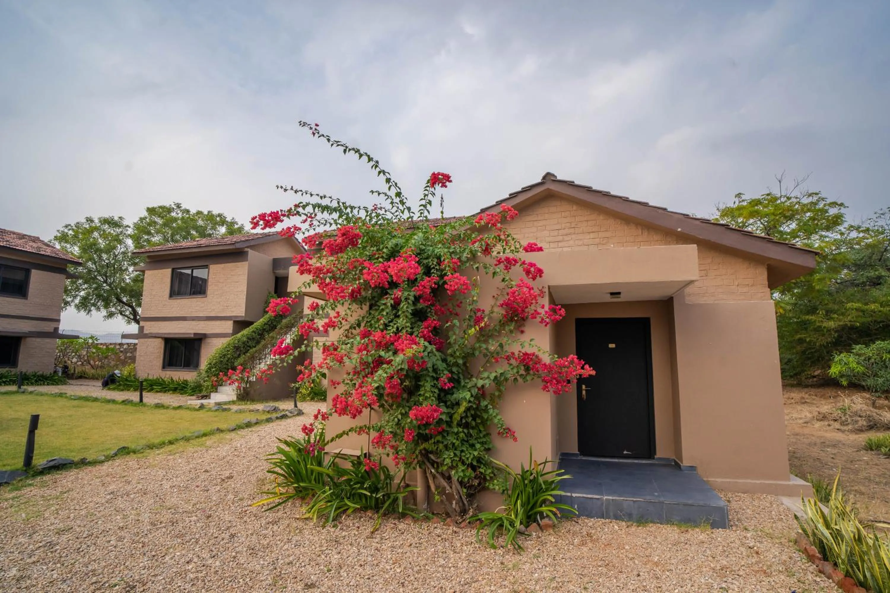 Clarks Safari Pushkar