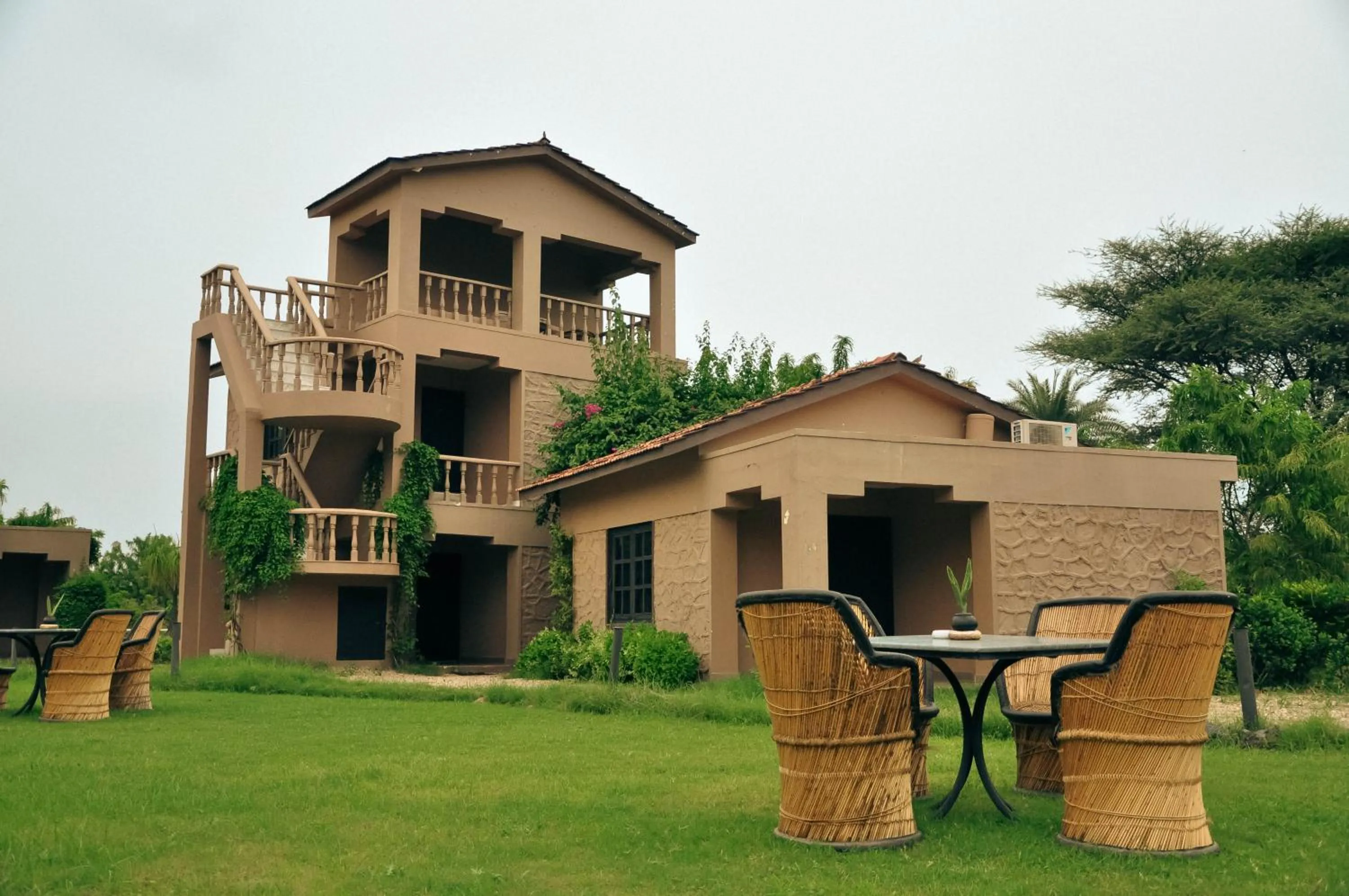 Clarks Safari Pushkar