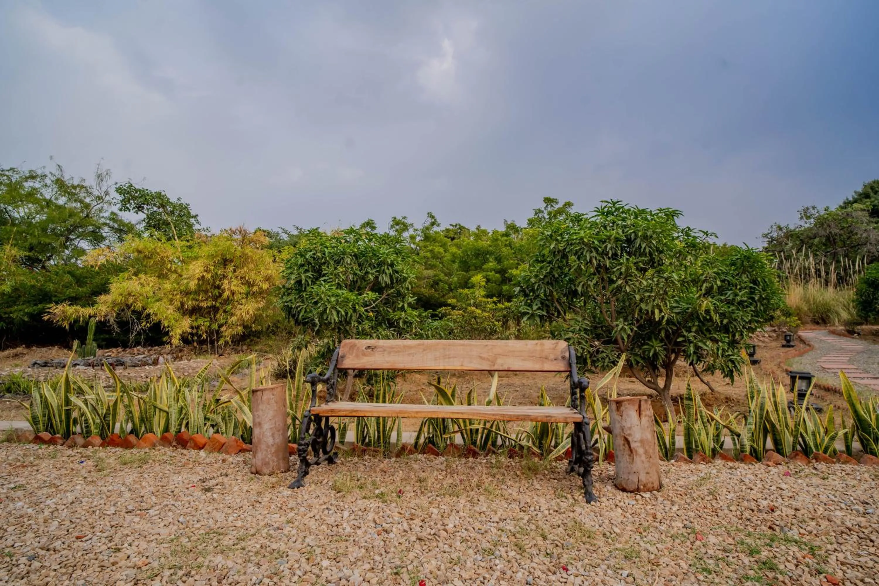 Clarks Safari Pushkar