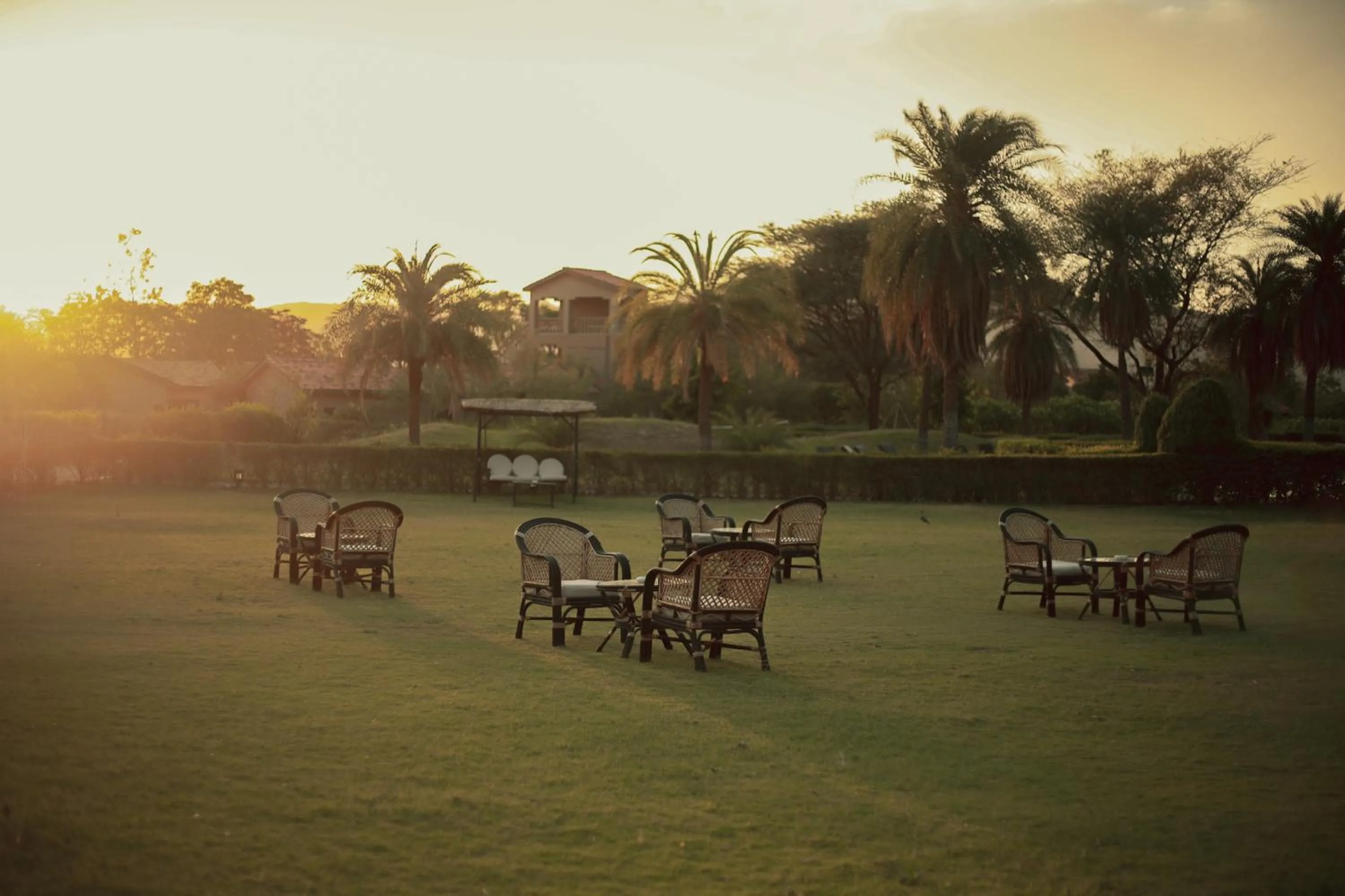 Garden view in Clarks Safari Pushkar