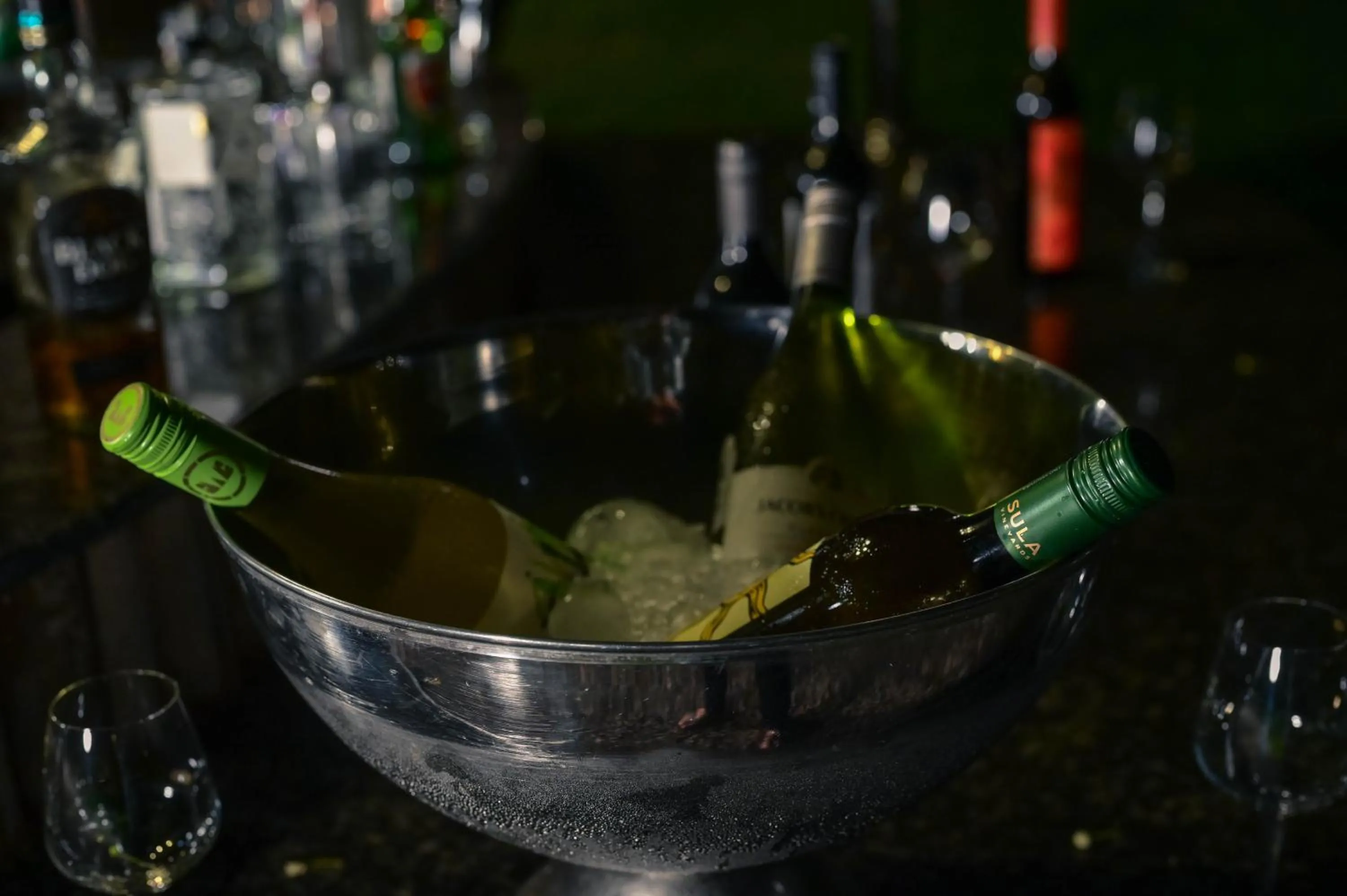 Clarks Safari Pushkar