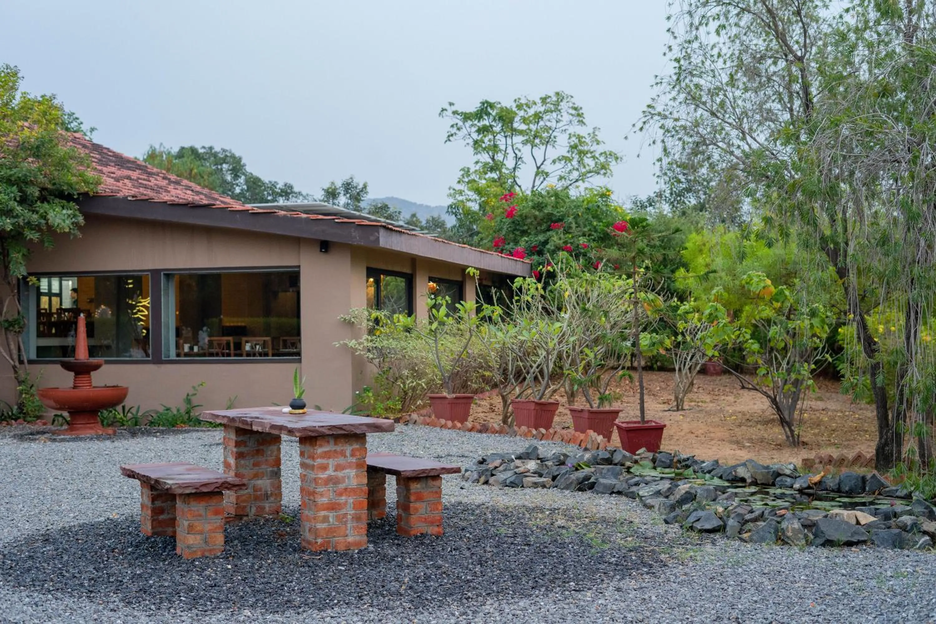 Clarks Safari Pushkar