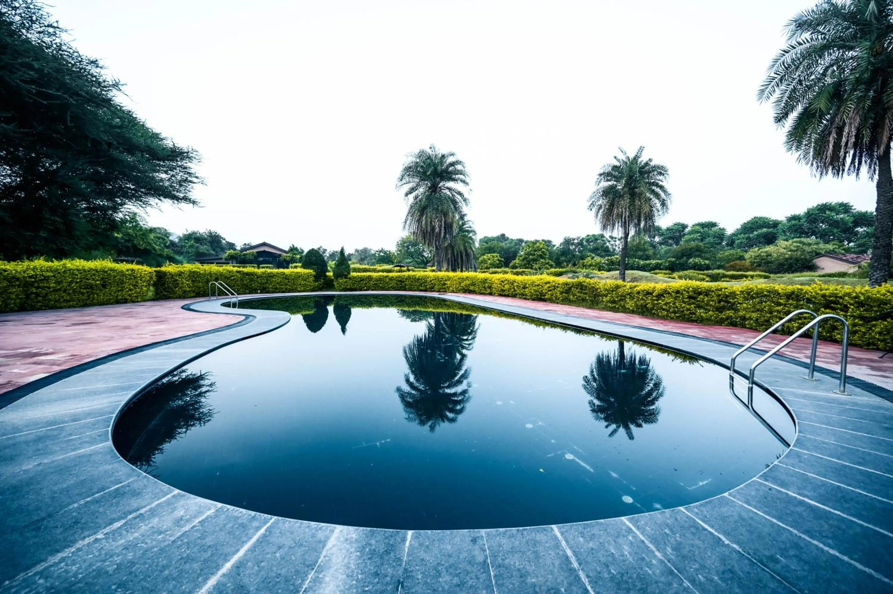 Pool view in Clarks Safari Pushkar