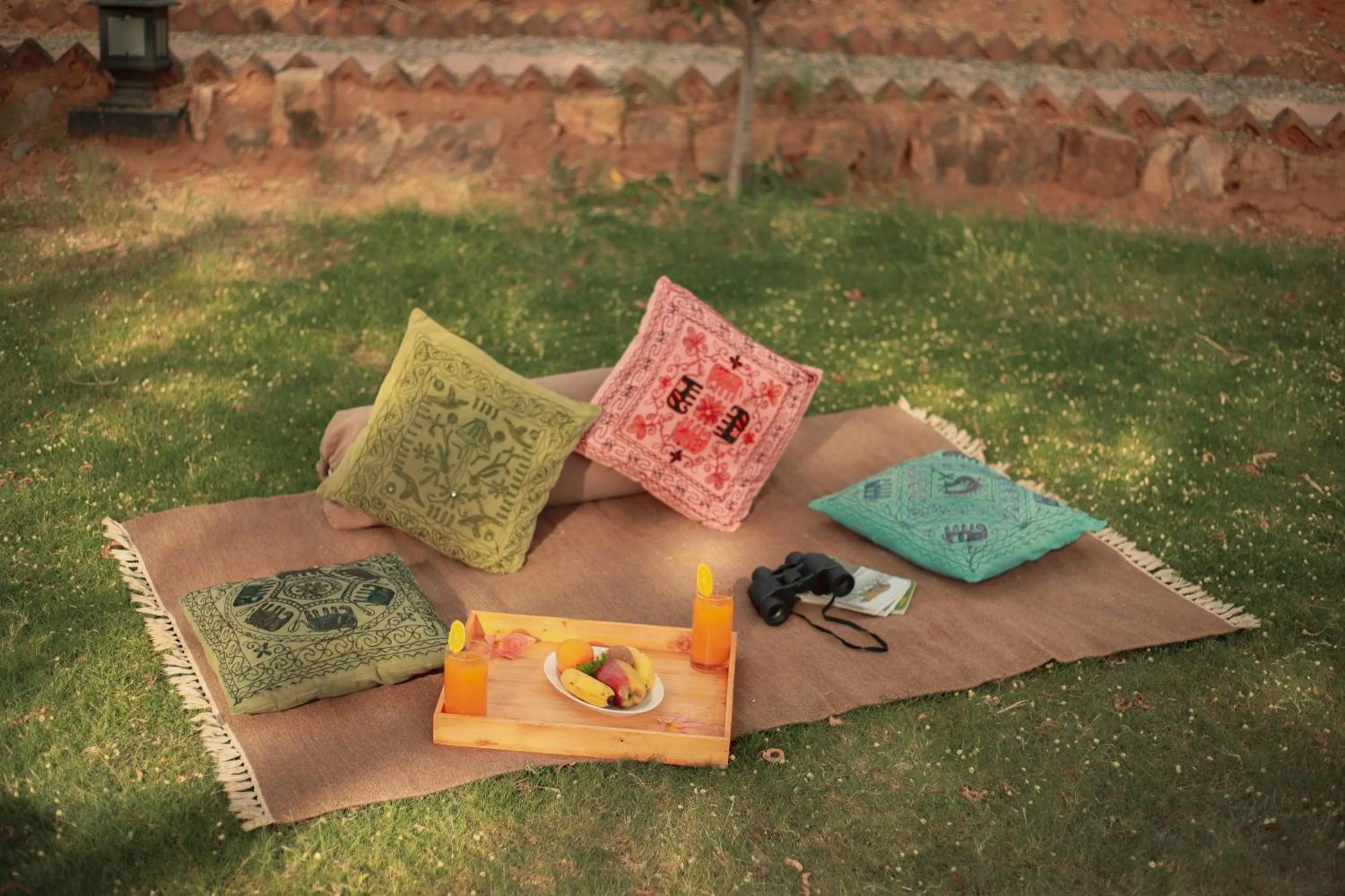 Day in Clarks Safari Pushkar