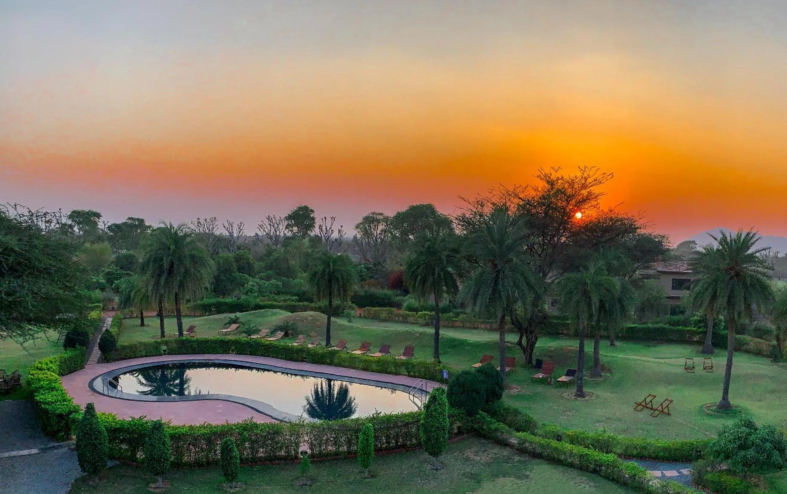 Clarks Safari Pushkar