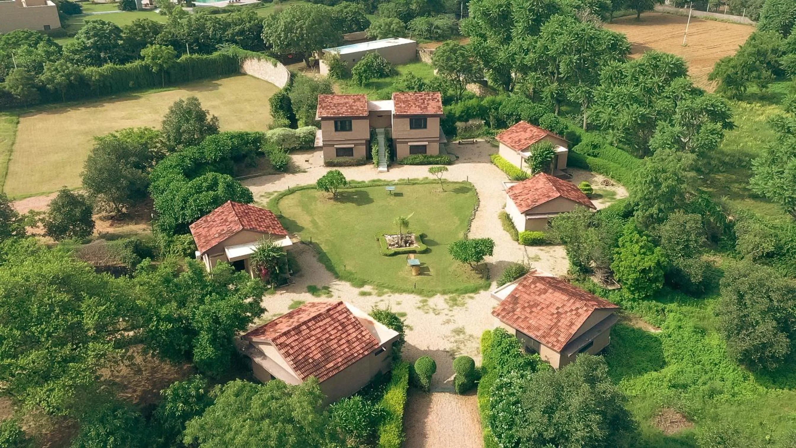 Clarks Safari Pushkar