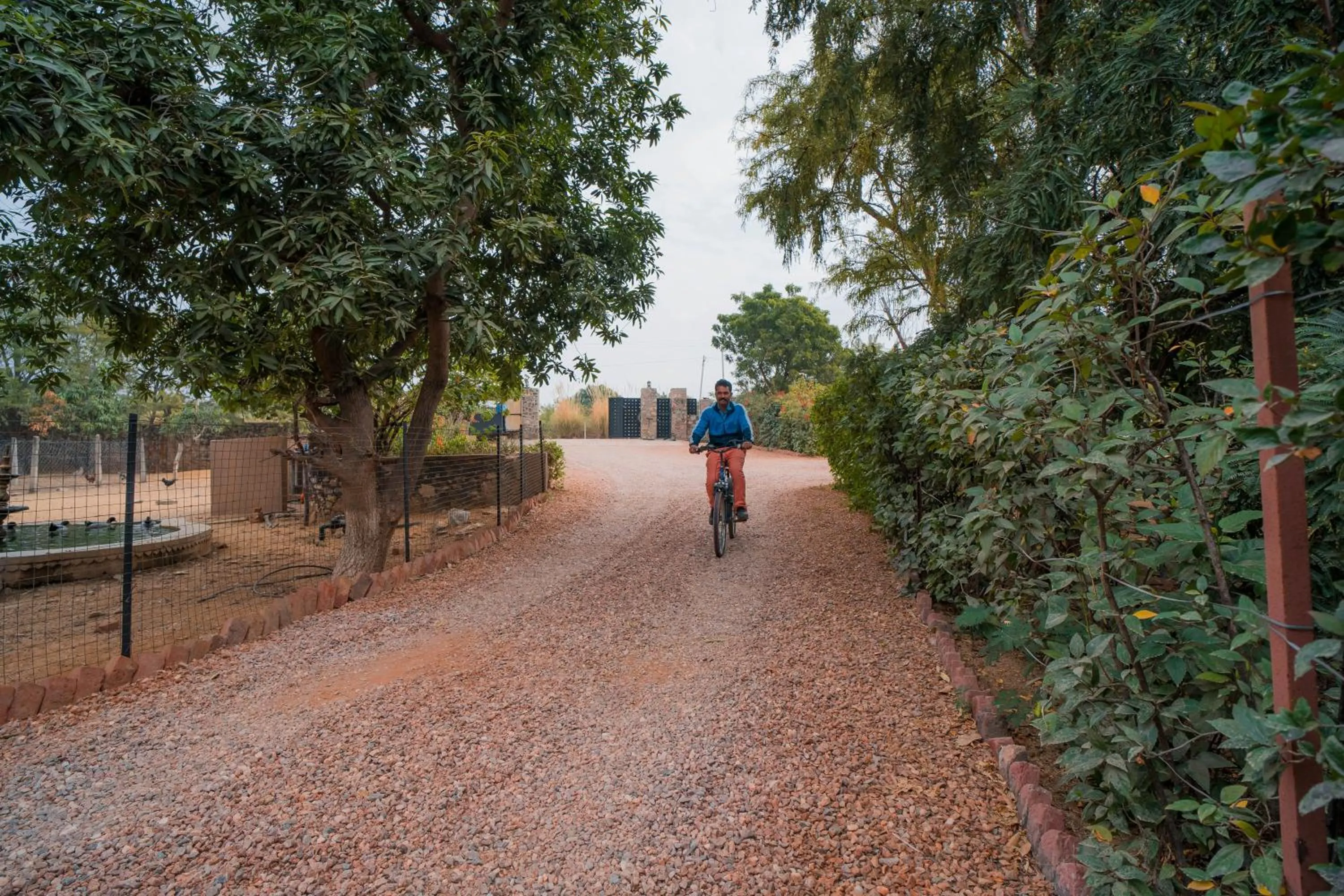 Activities in Clarks Safari Pushkar