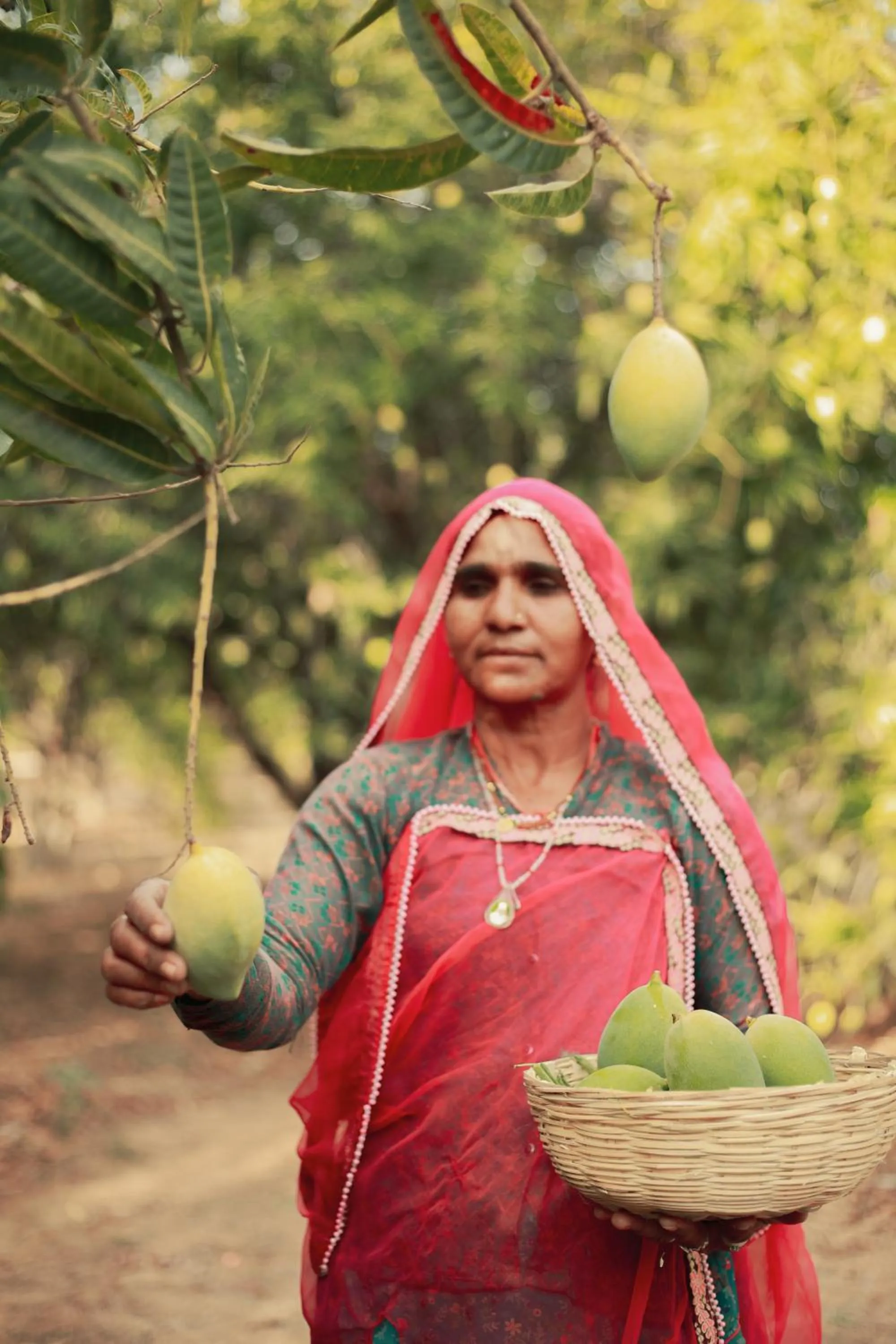 Garden in Clarks Safari Pushkar