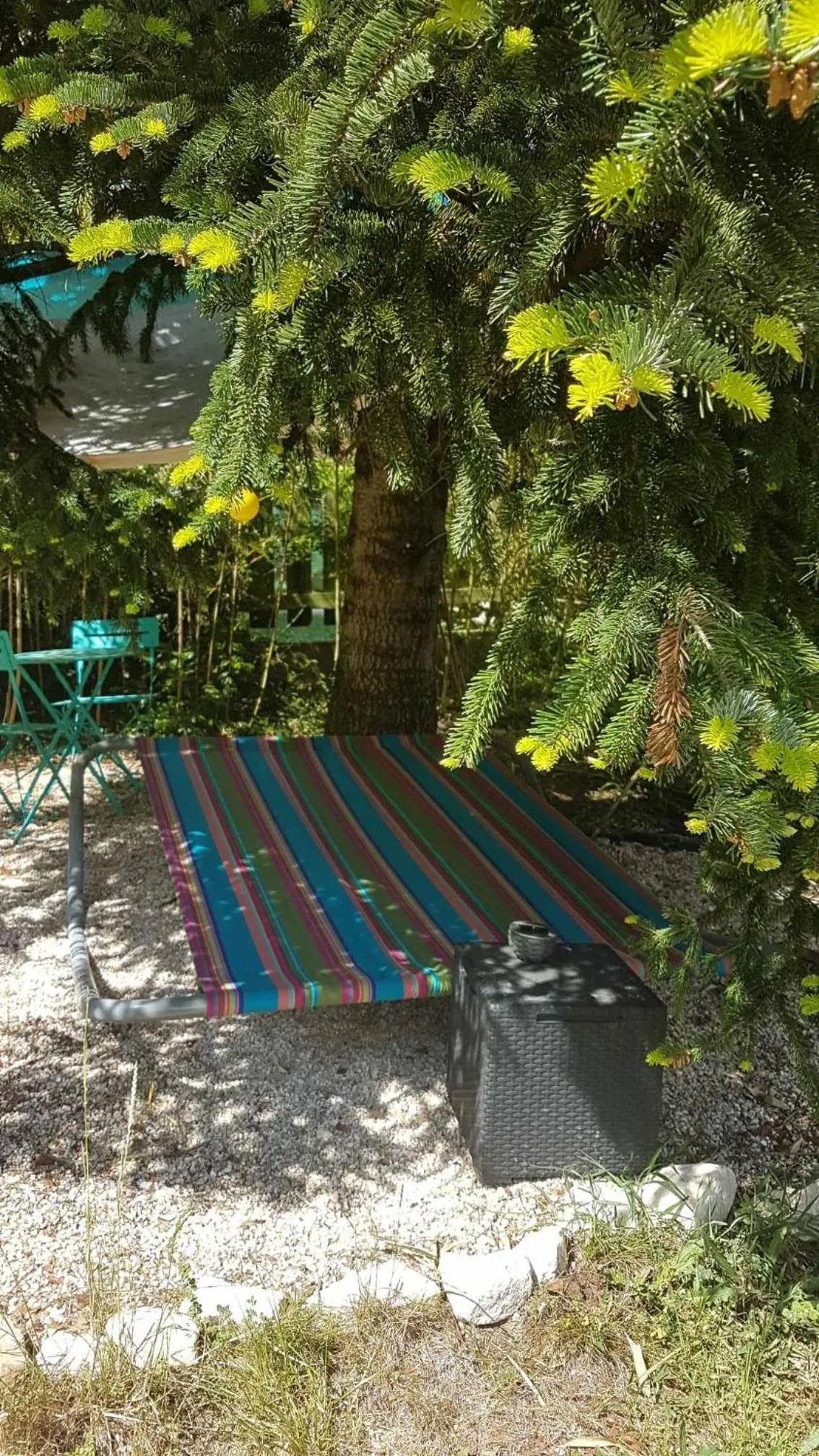 Garden in Le Clos du Cèdre