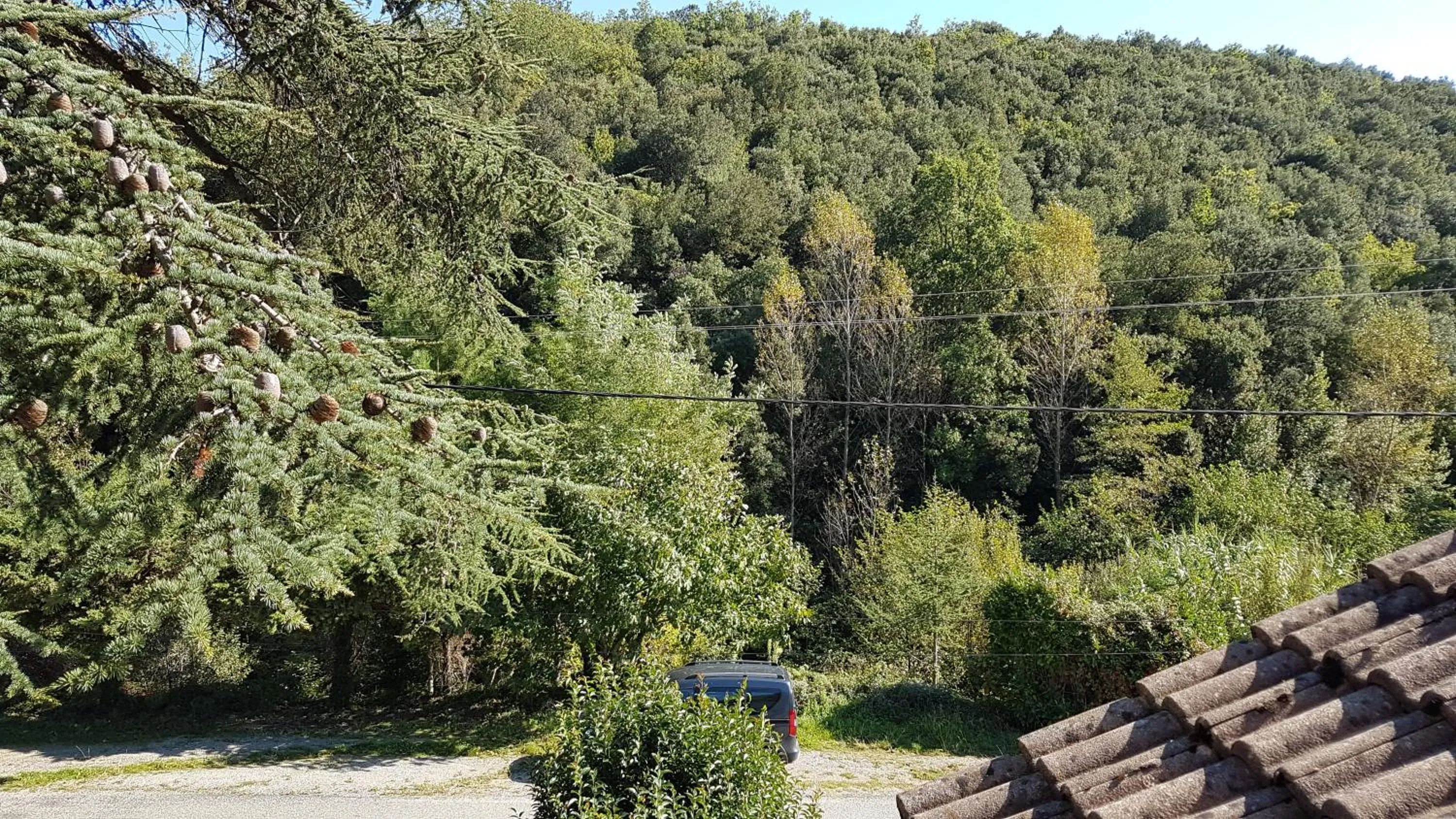 Garden view in Le Clos du Cèdre