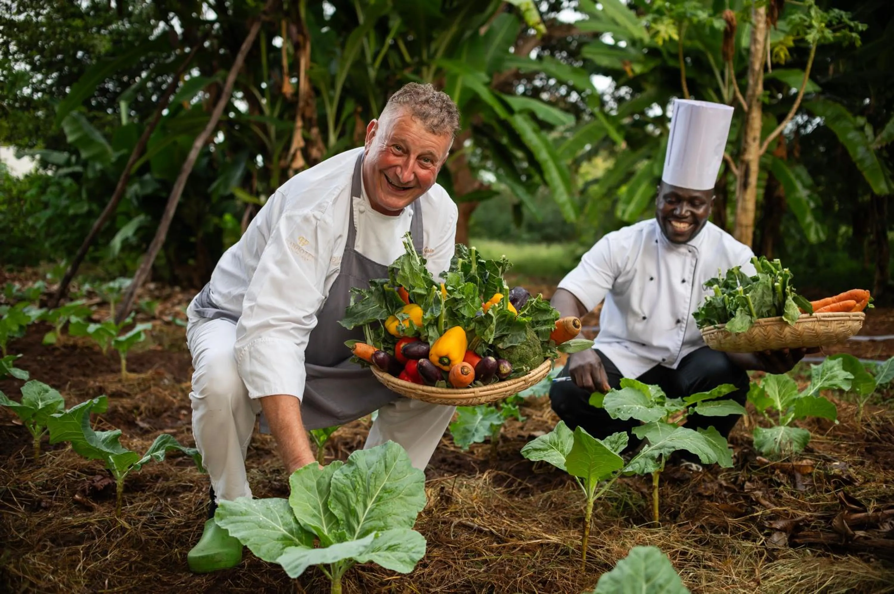Garden in Diamonds Leisure Beach & Golf Resort