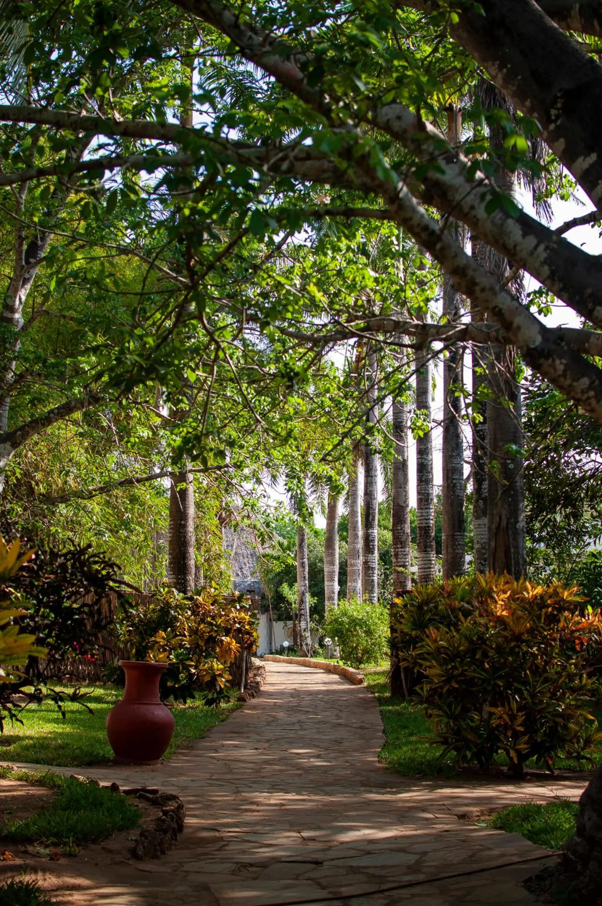Garden in Diamonds Leisure Beach & Golf Resort