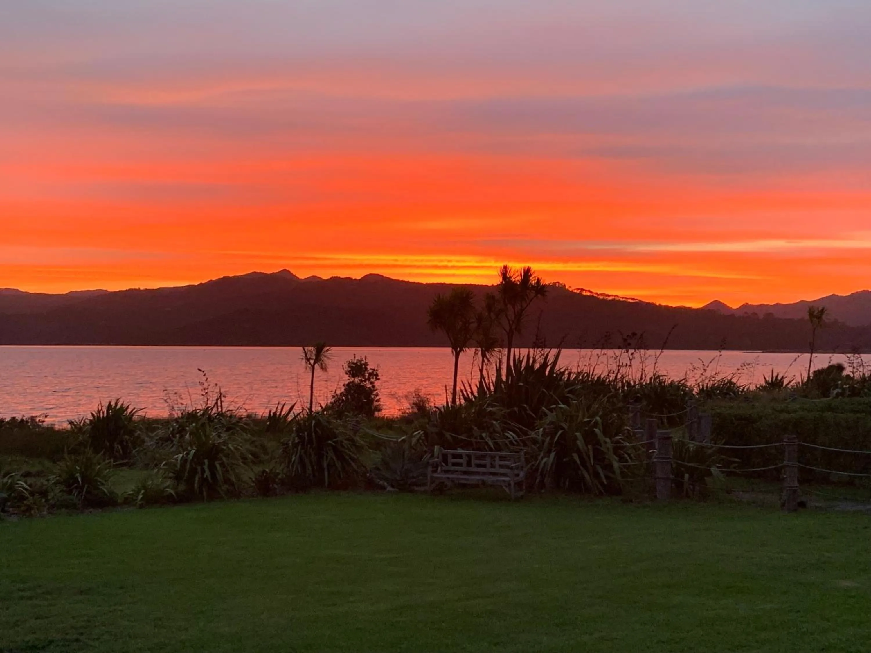 Garden in The Matarangi B & B
