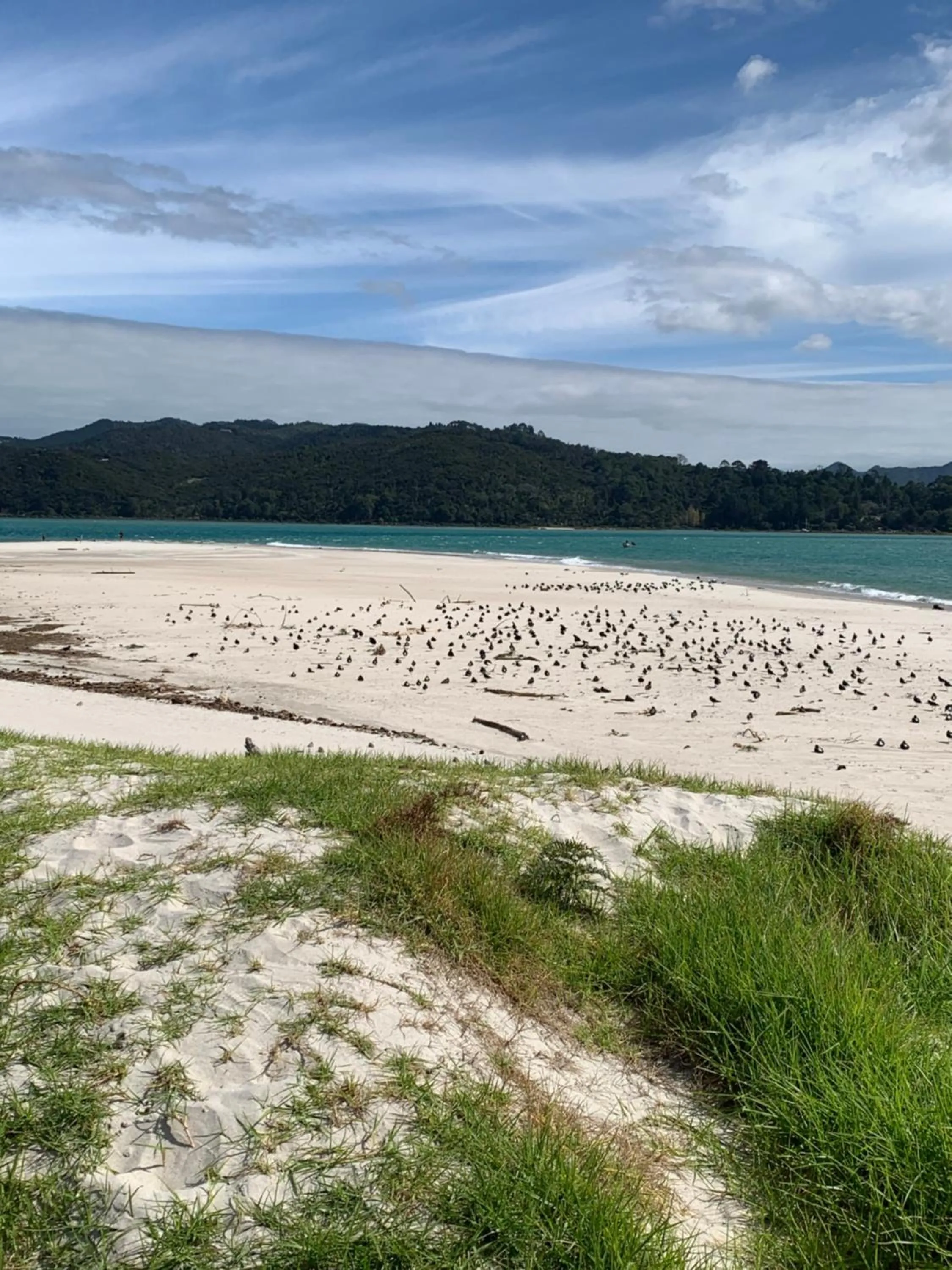 Golfcourse in The Matarangi B & B