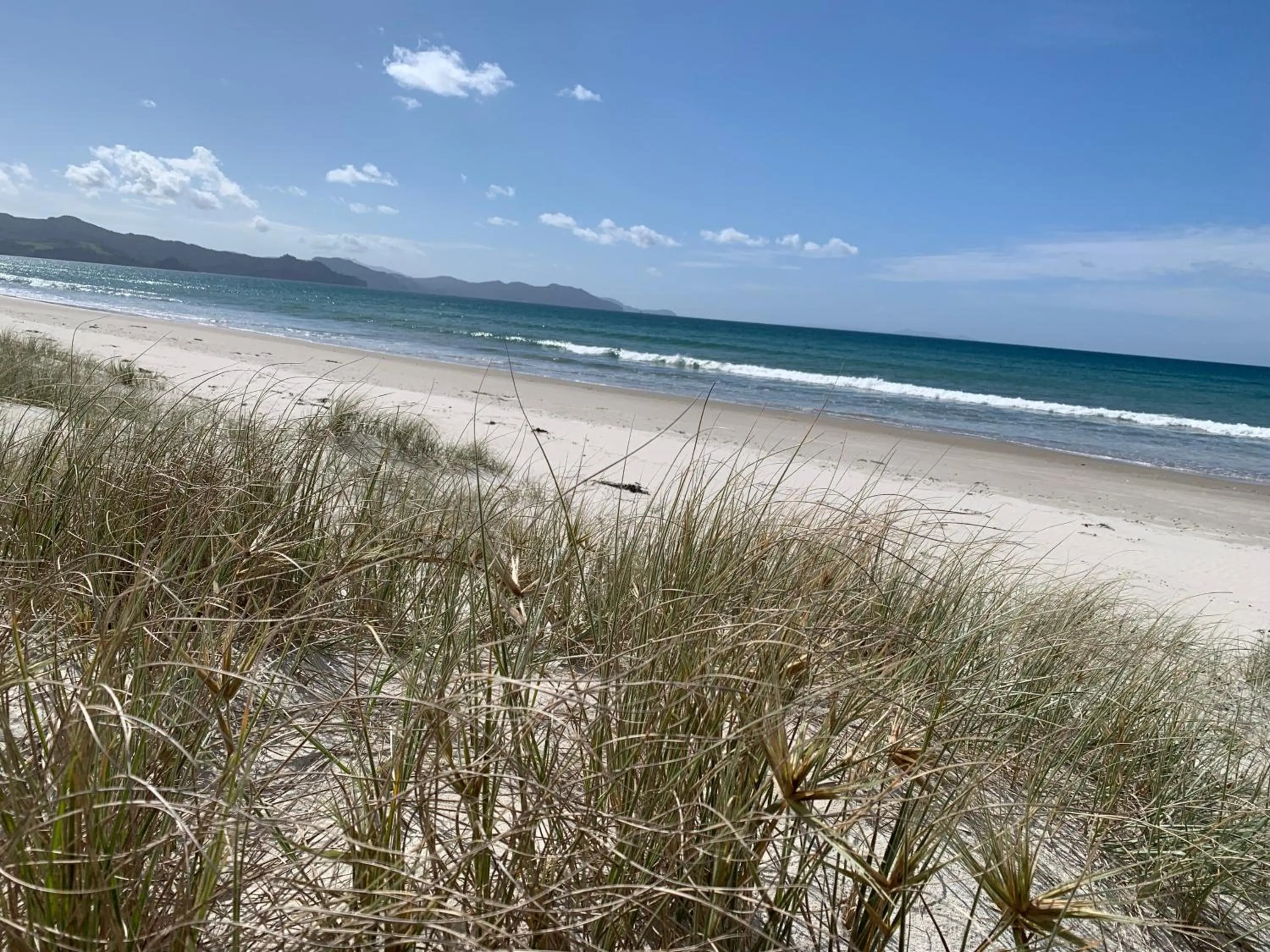 Beach in The Matarangi B & B