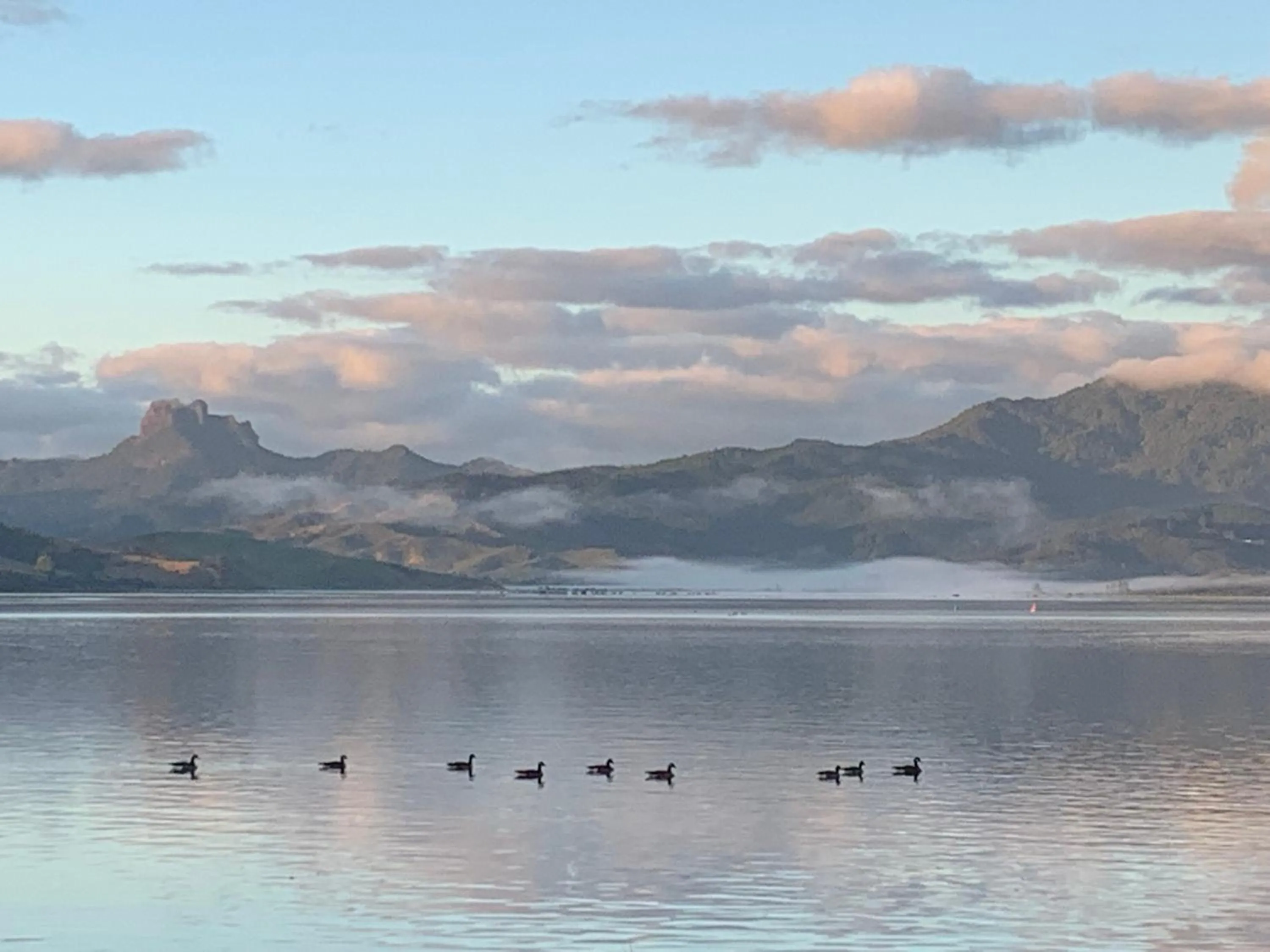 Natural landscape in The Matarangi B & B
