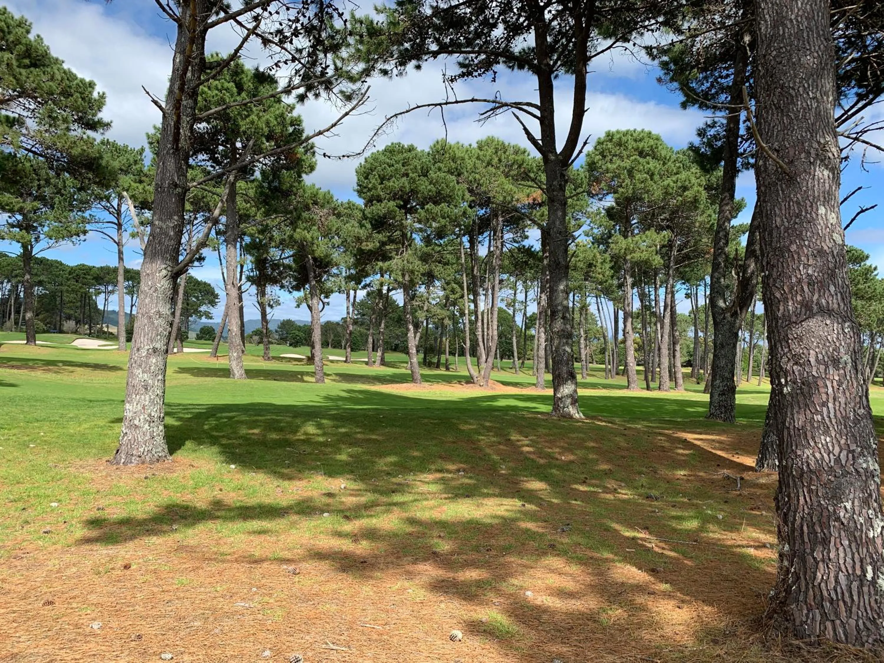 Golfcourse in The Matarangi B & B
